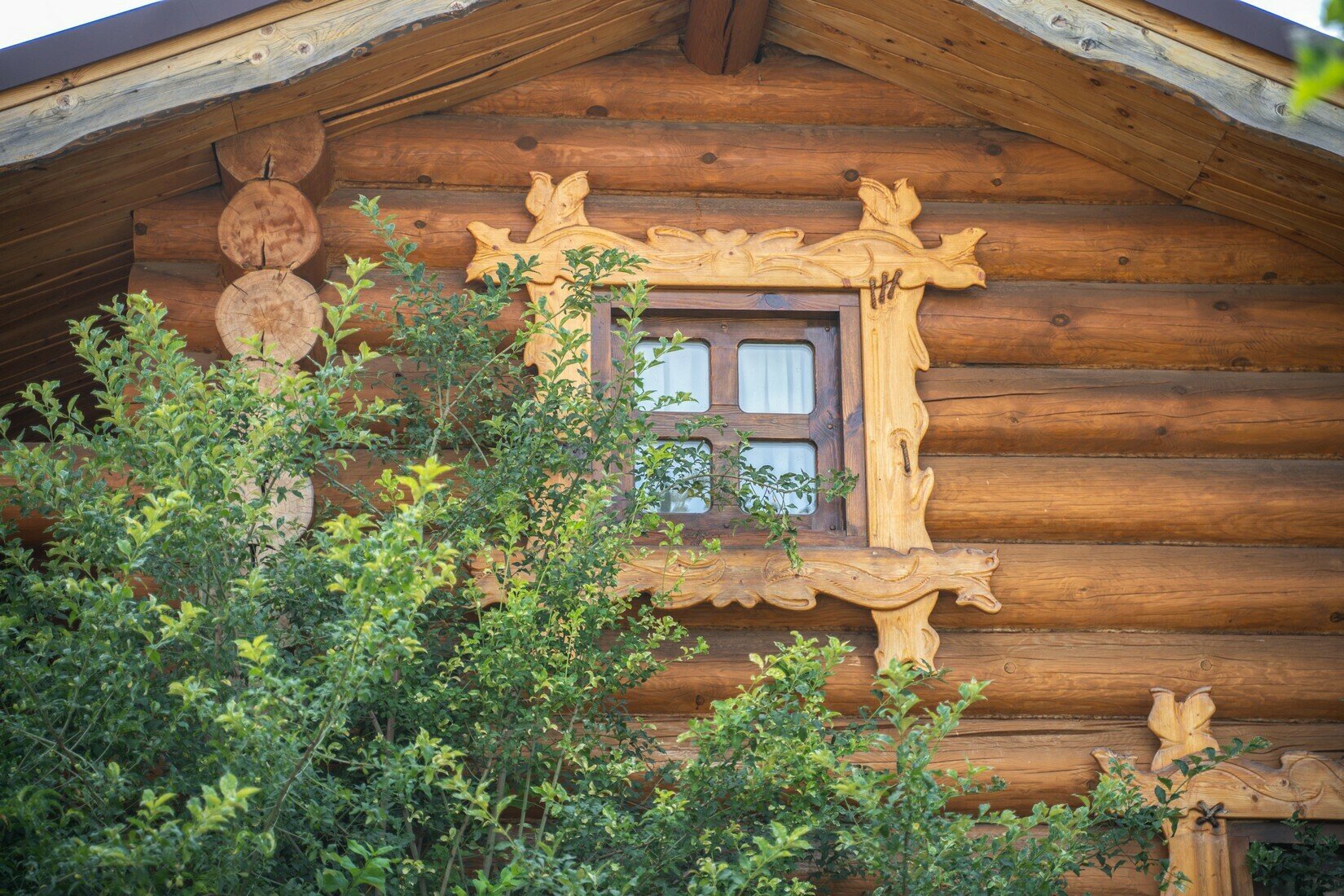 Фото Аристократ