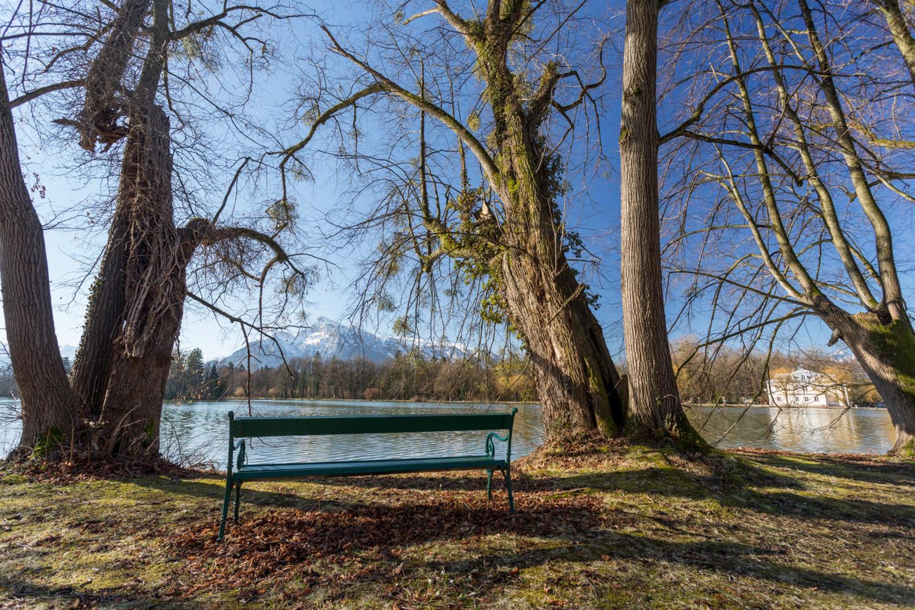 Фото Hotel Schloss Leopoldskron