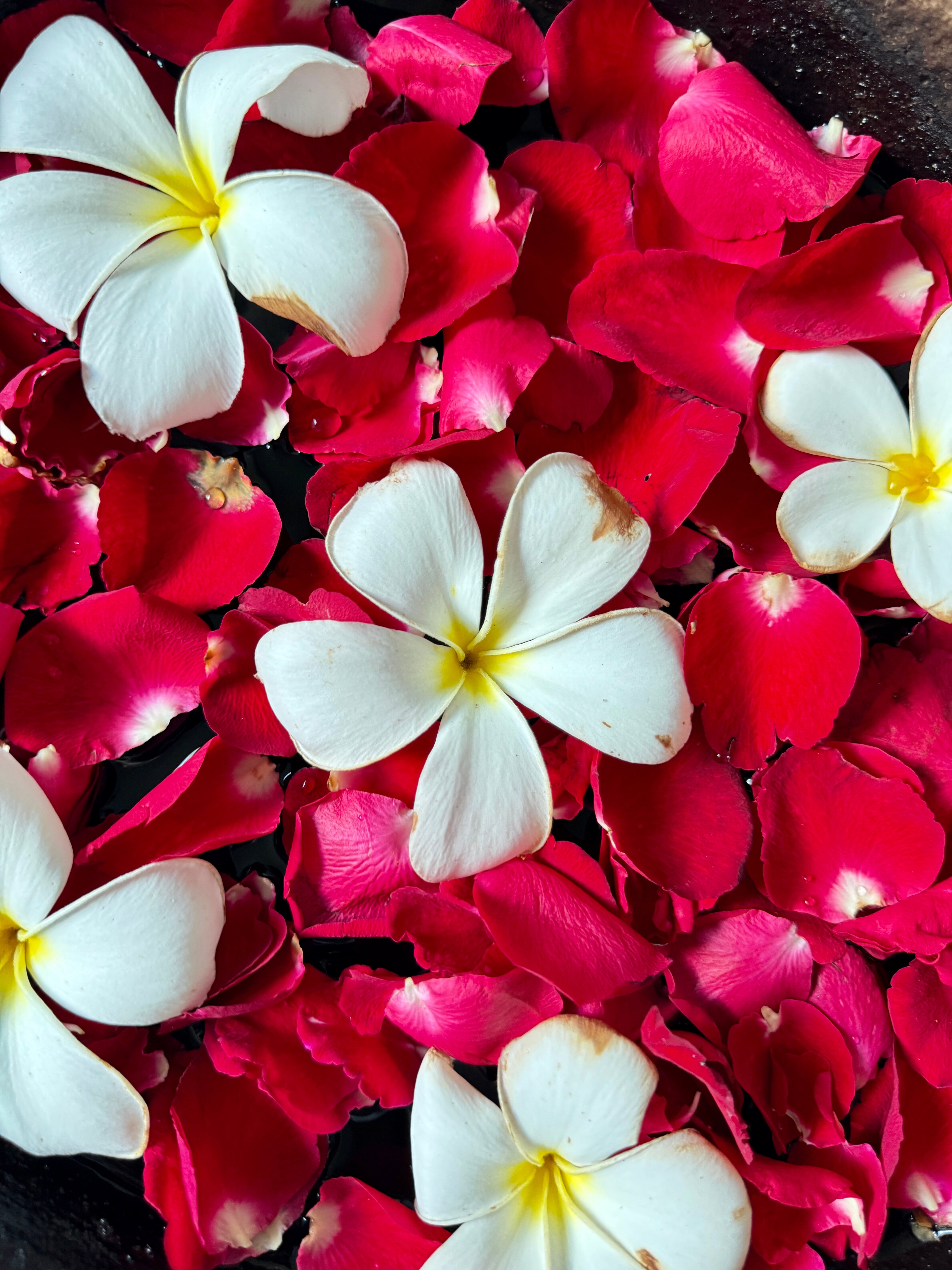 Фото Hyatt Regency Bali