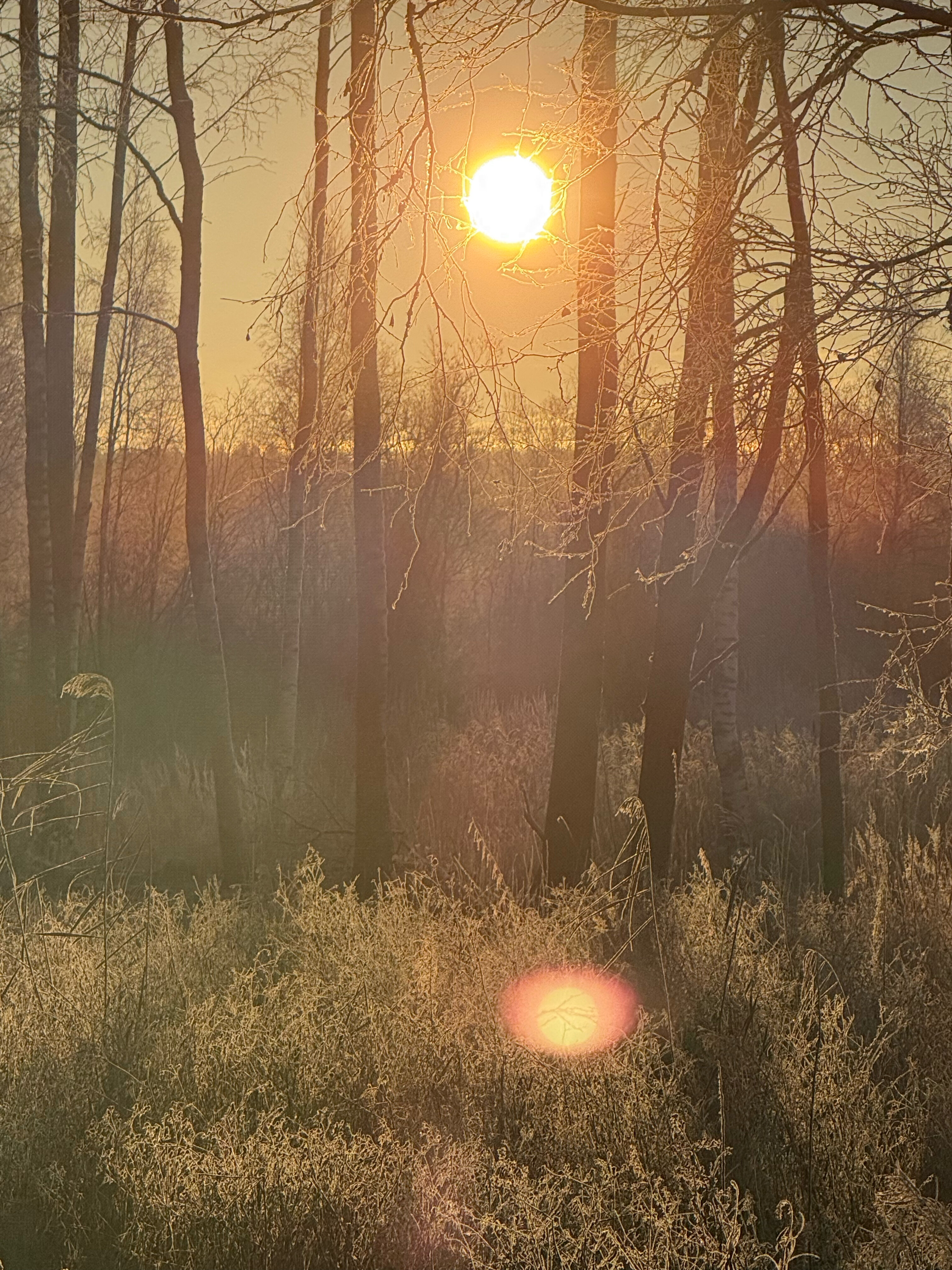 Фото Здесь живут камни