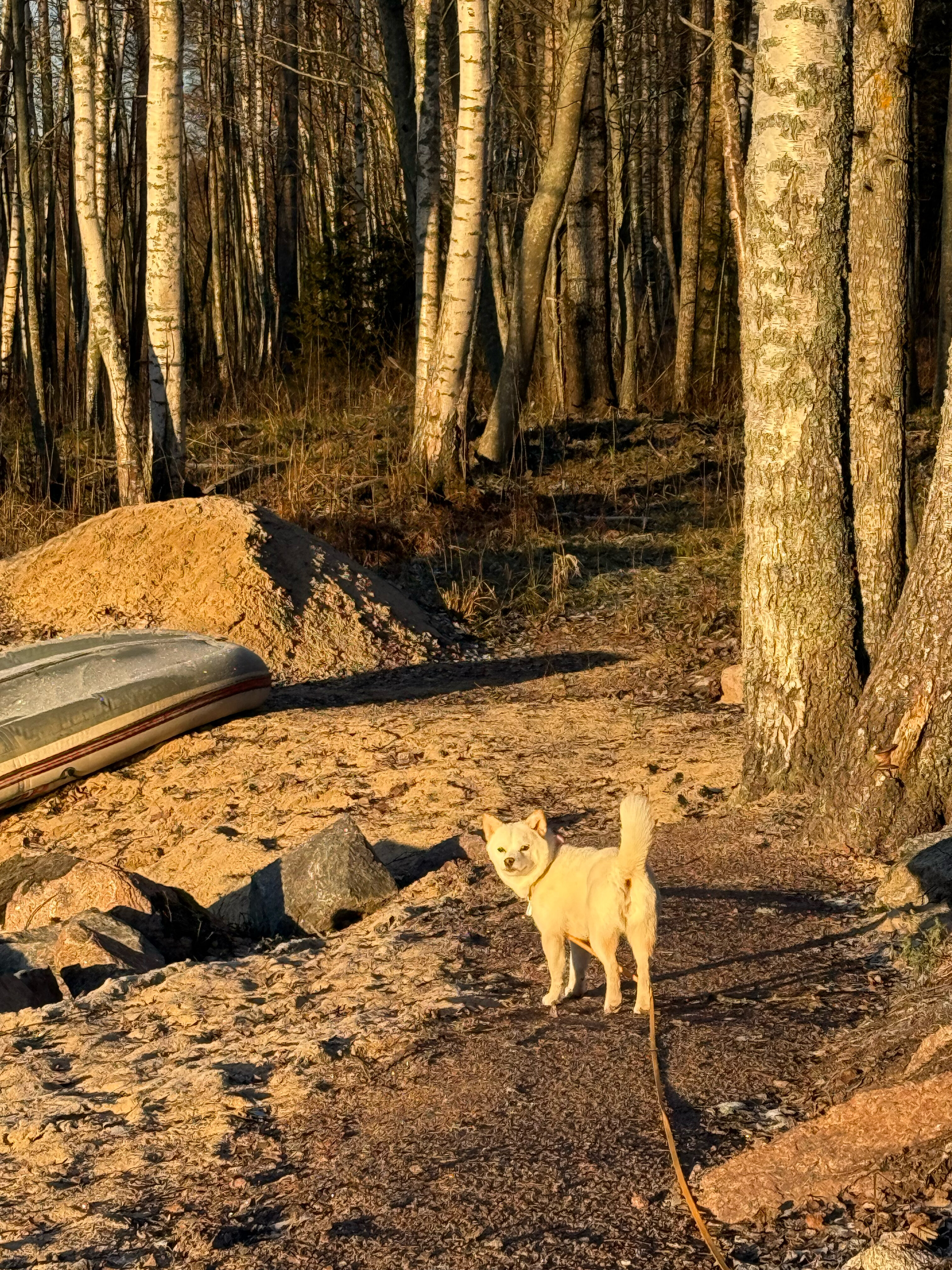 Фото Здесь живут камни