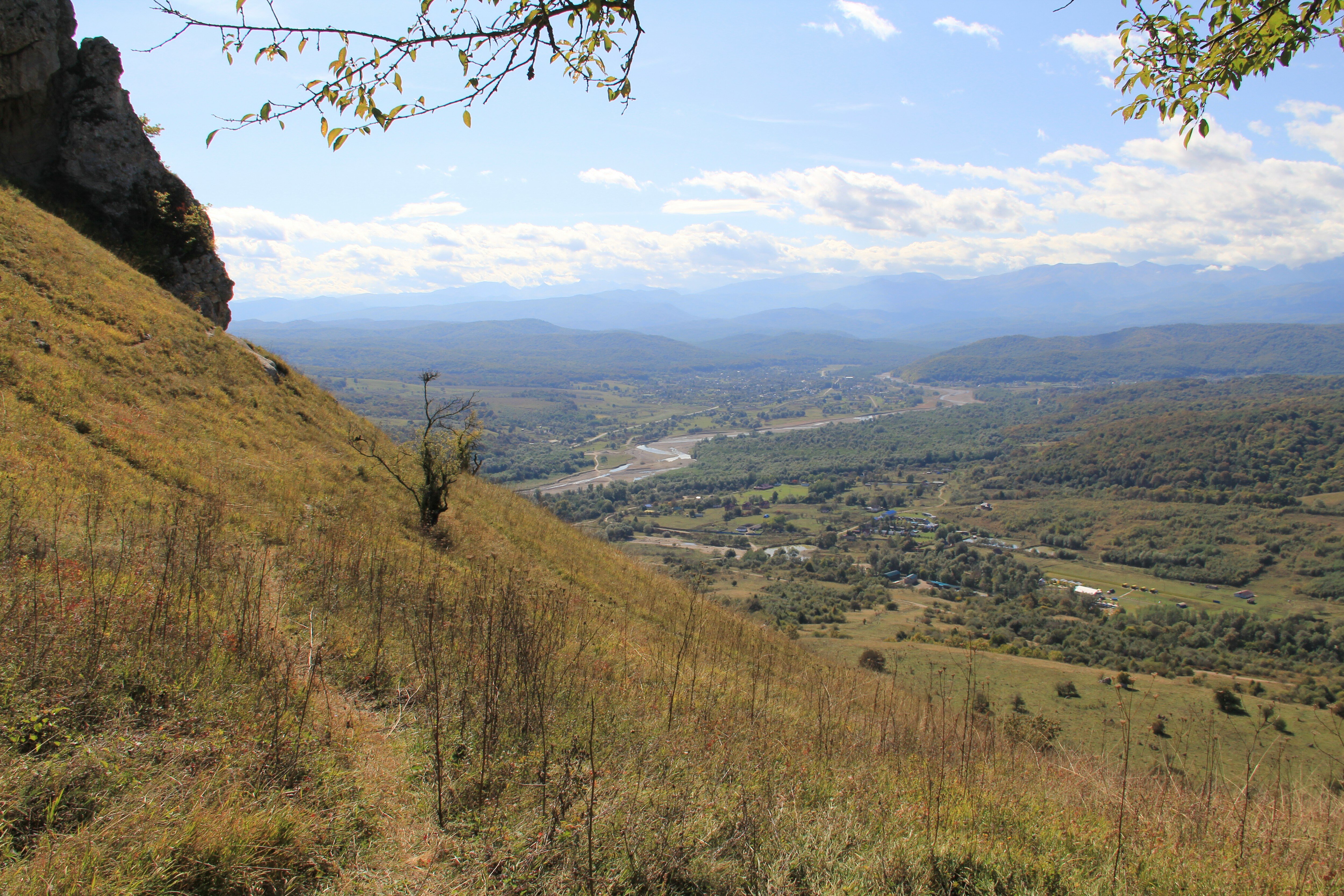 Фото Снежный Барс