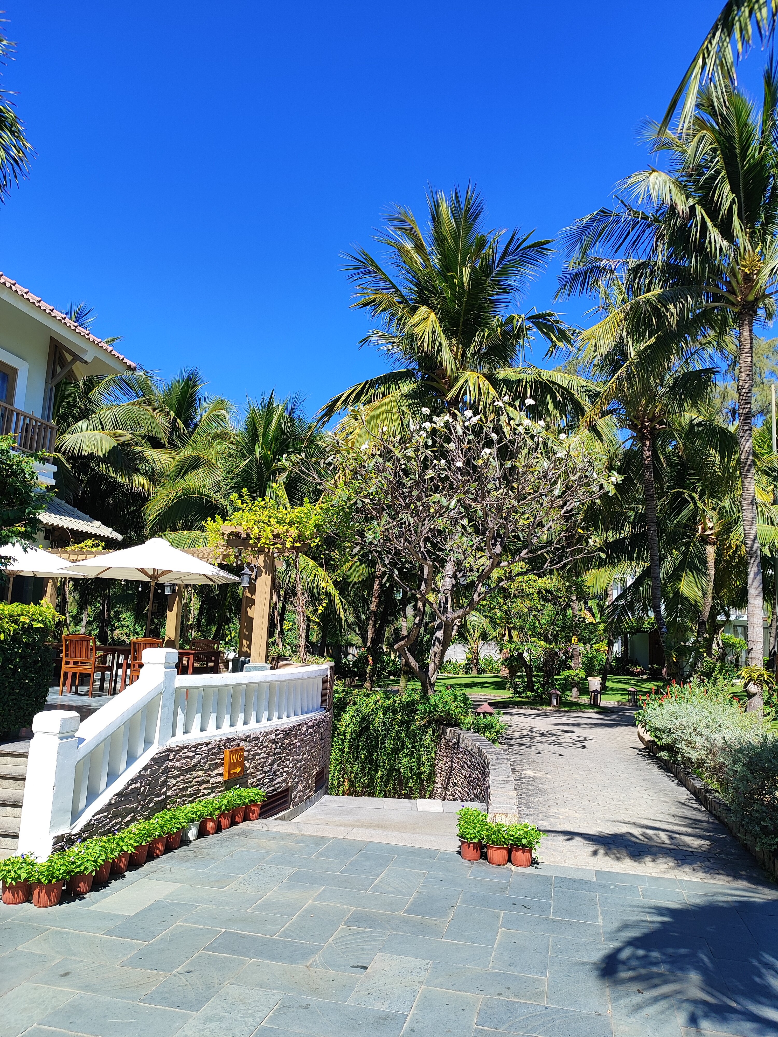 Фото Sonata Resort & SPA