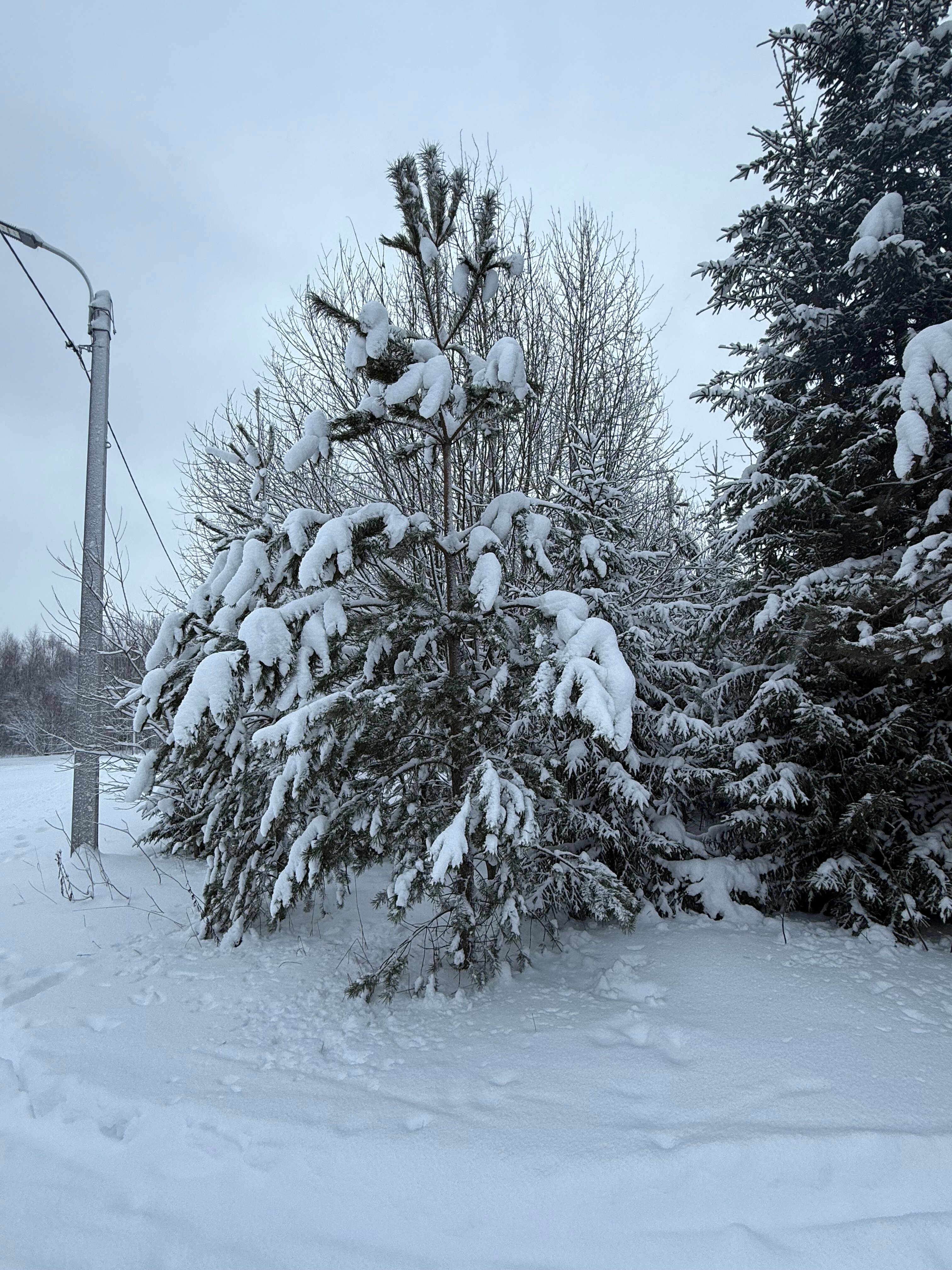 Фото Двуречье