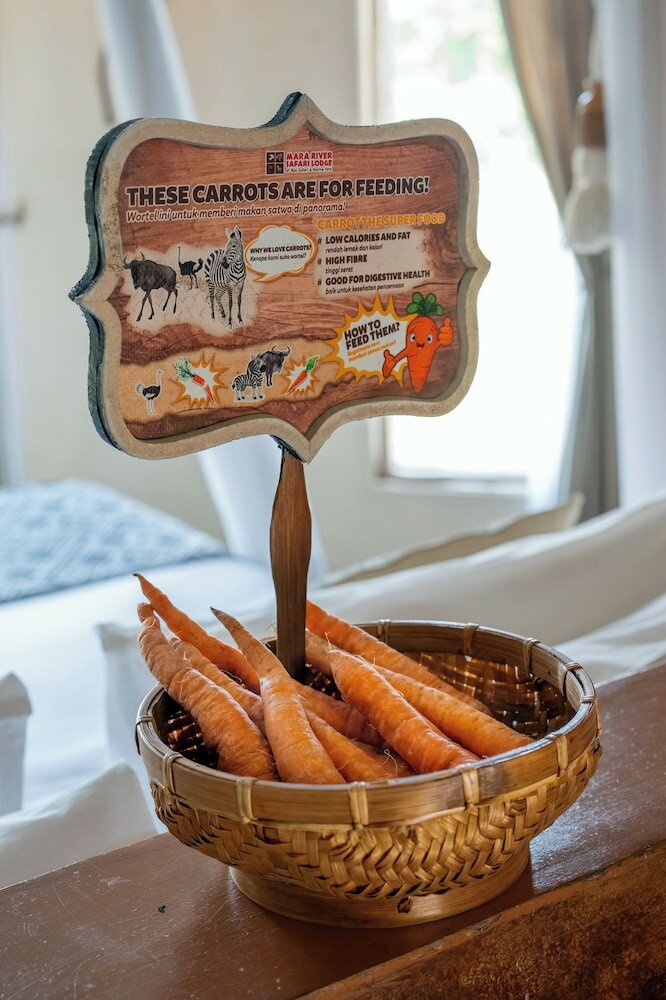 Фото Mara River Safari Lodge