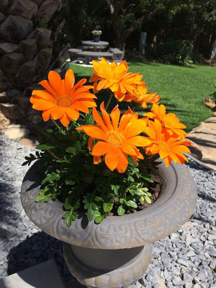 Фото Bloemenzee Boutique B & B