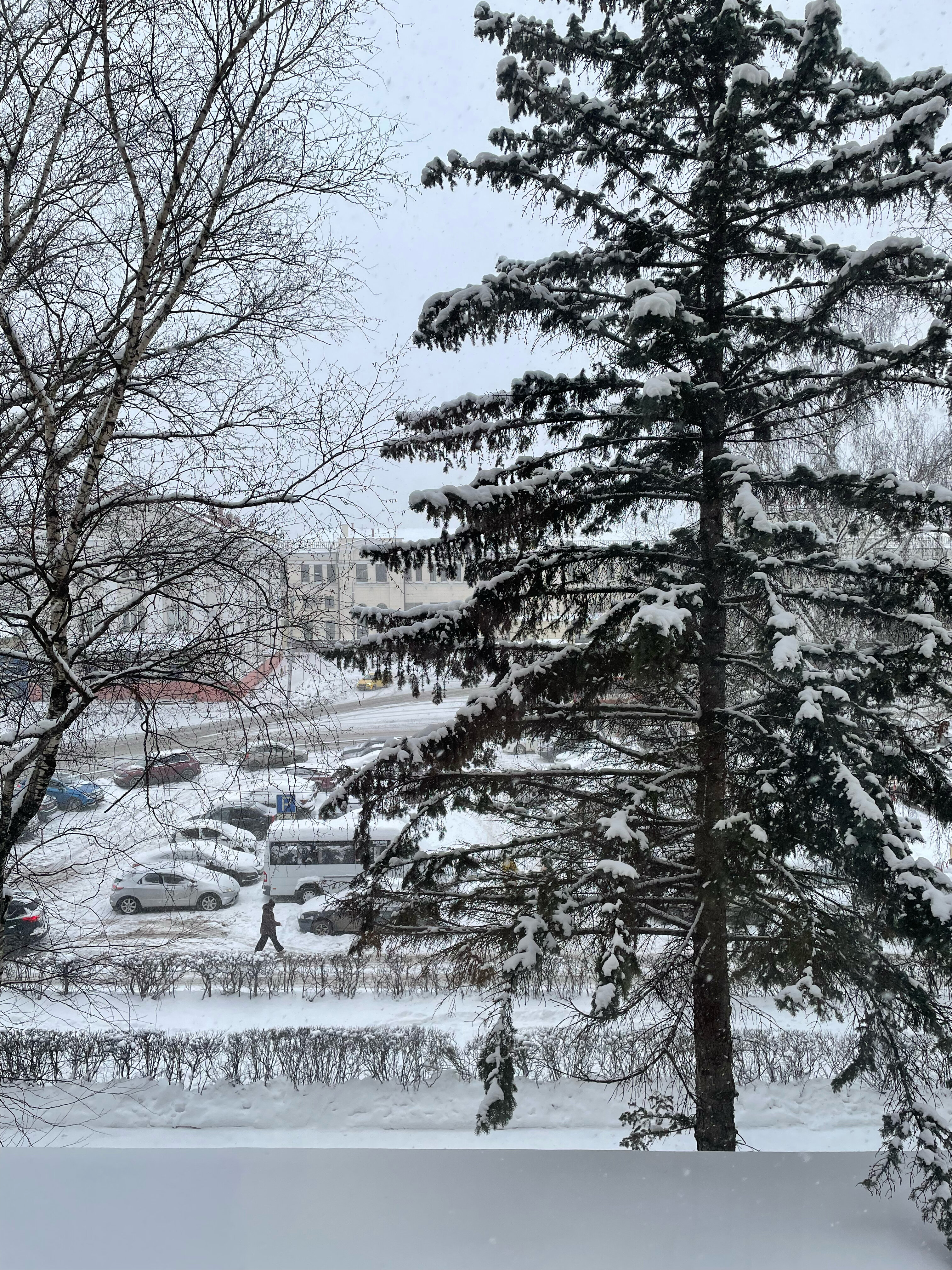 Фото Гостиница Москва