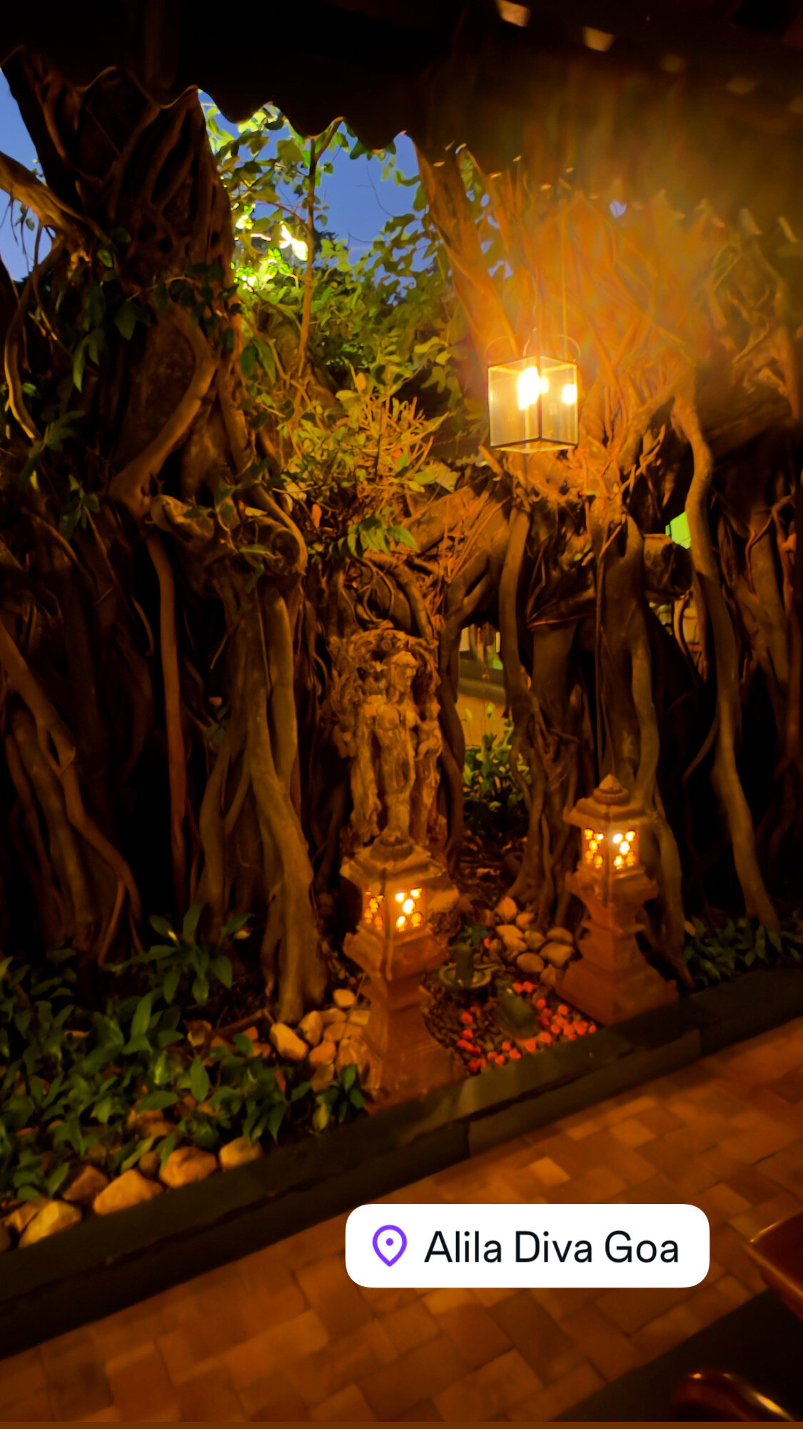 Фото The Diwa Club by Alila Diwa Goa - A Hyatt Brand
