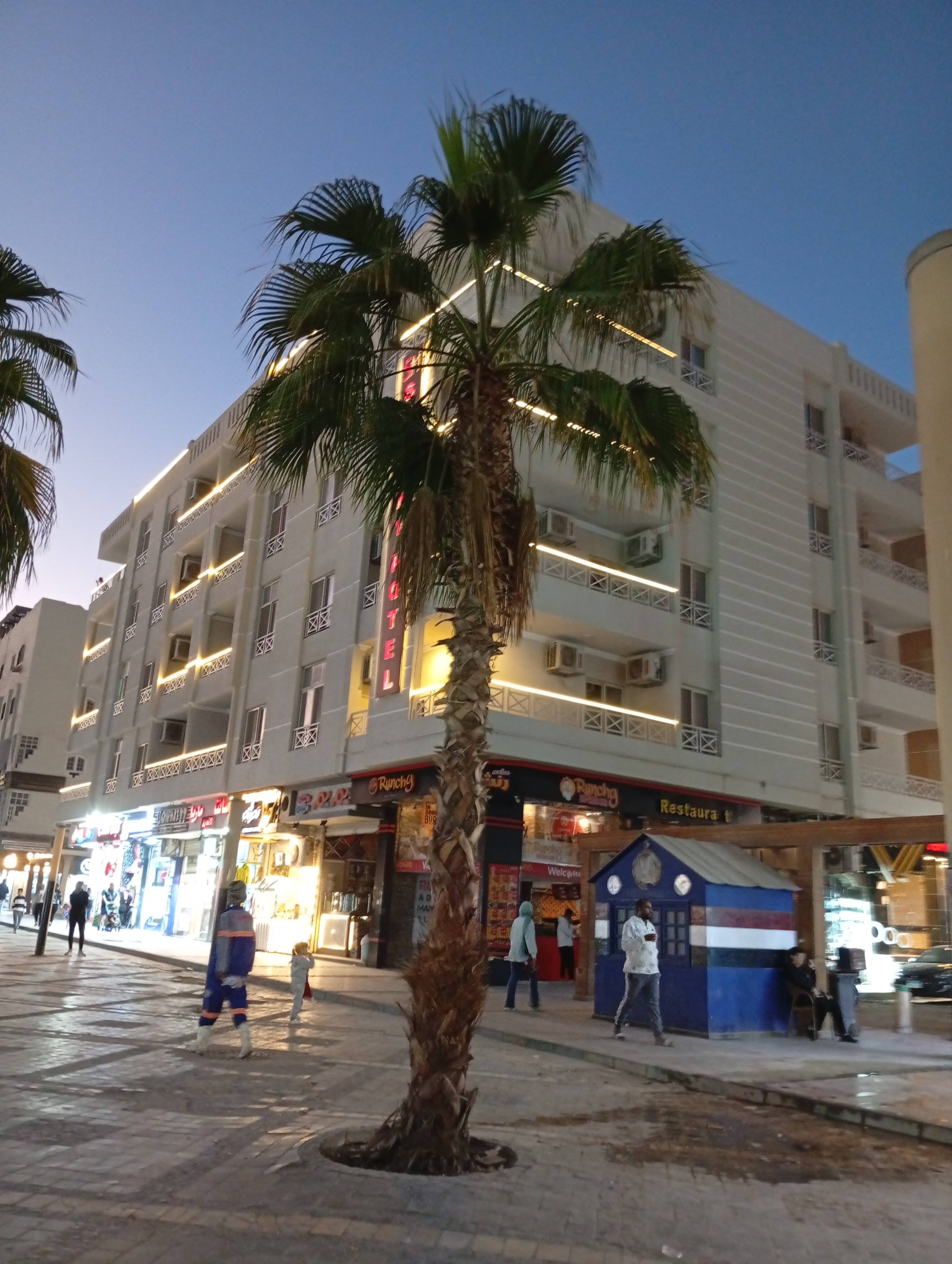 Фото Dexon Roma Hotel