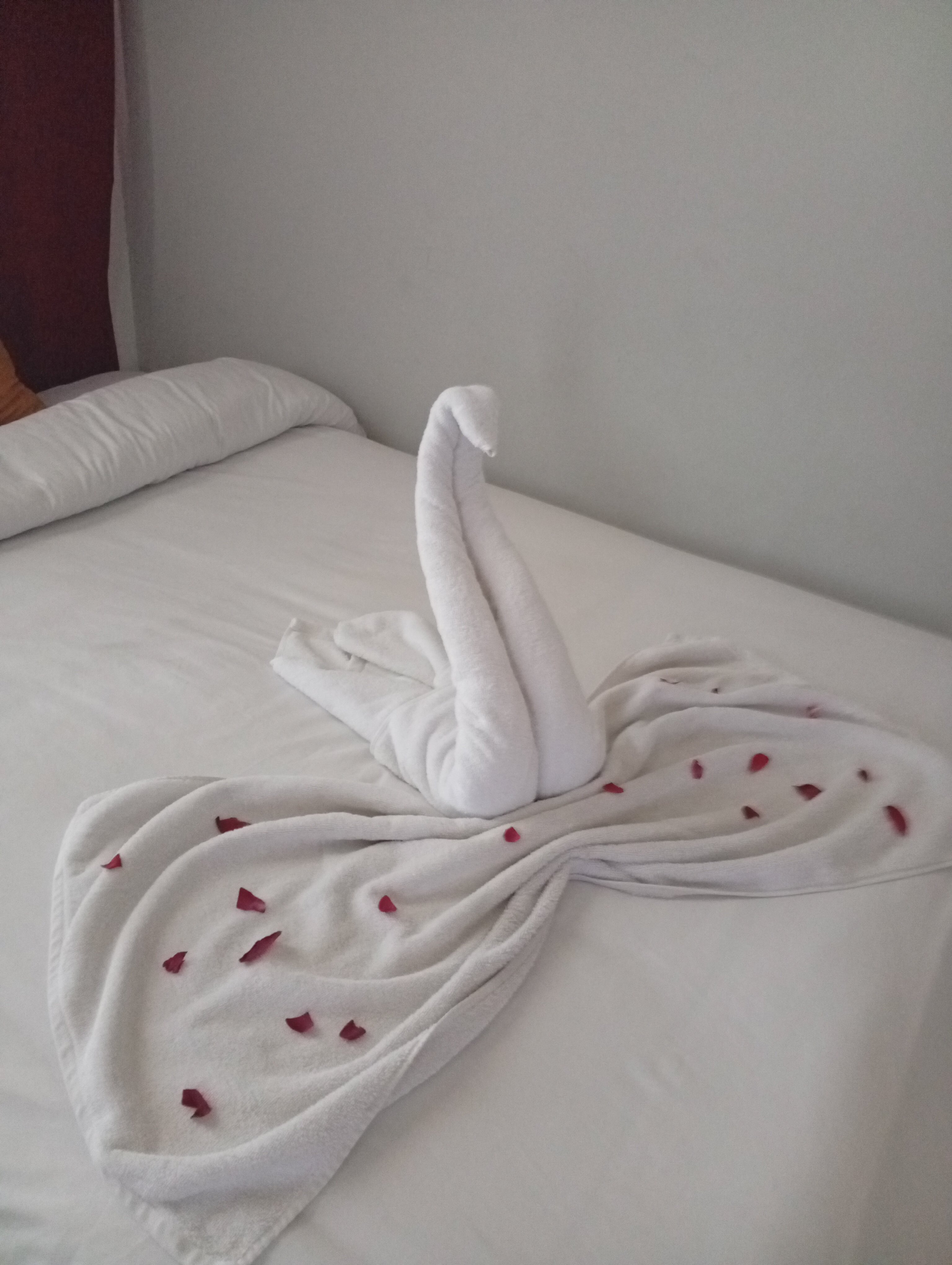 Фото Dexon Roma Hotel
