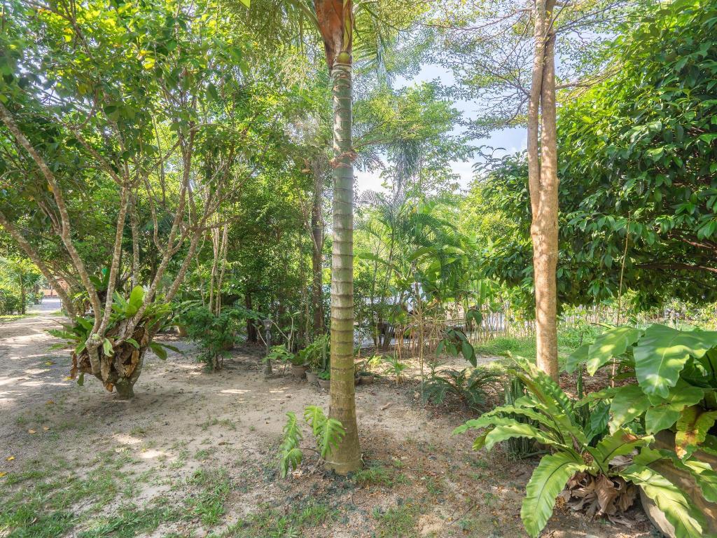 Фото Baan Suan Leela