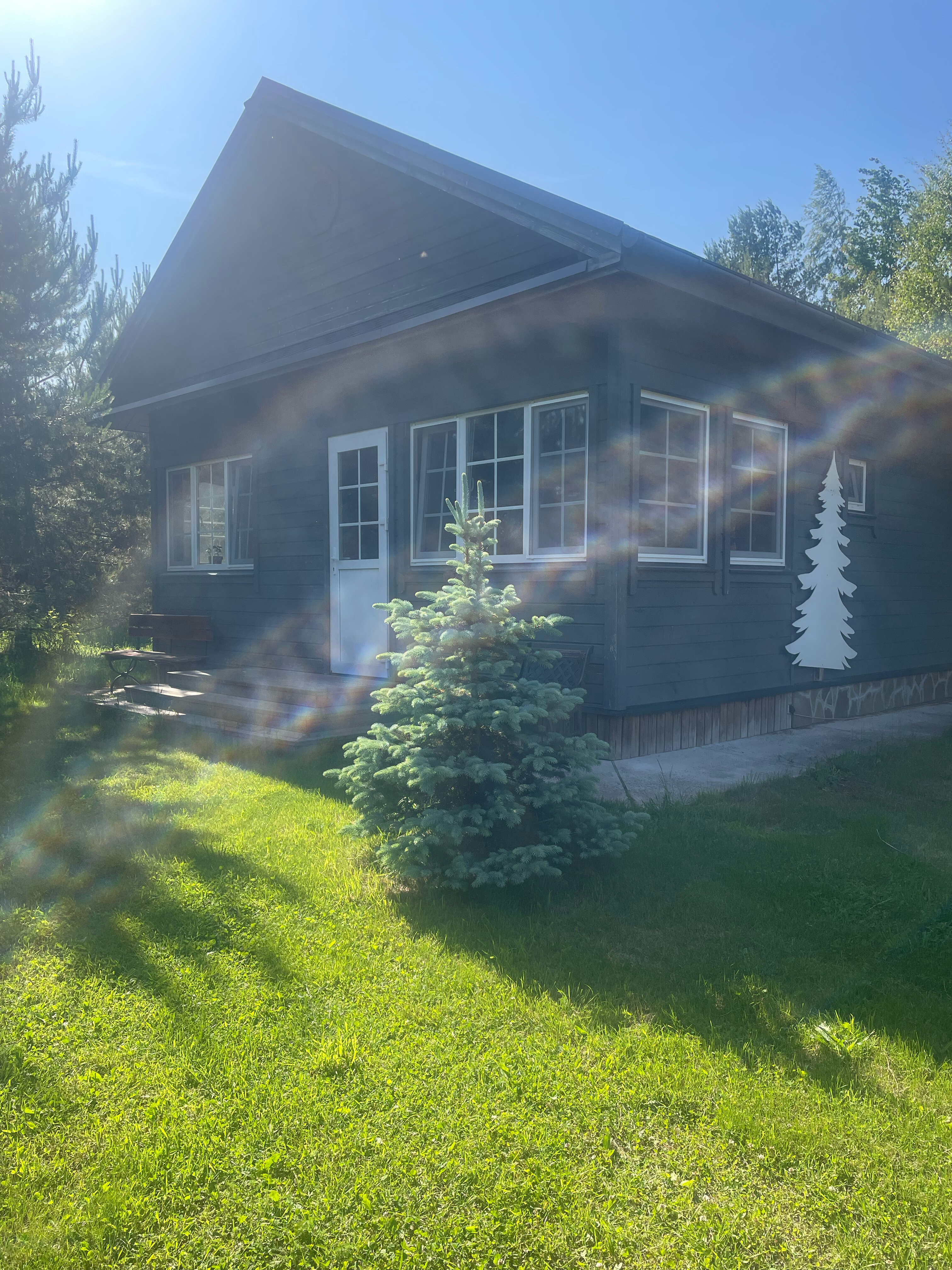 Фото Домики под соснами