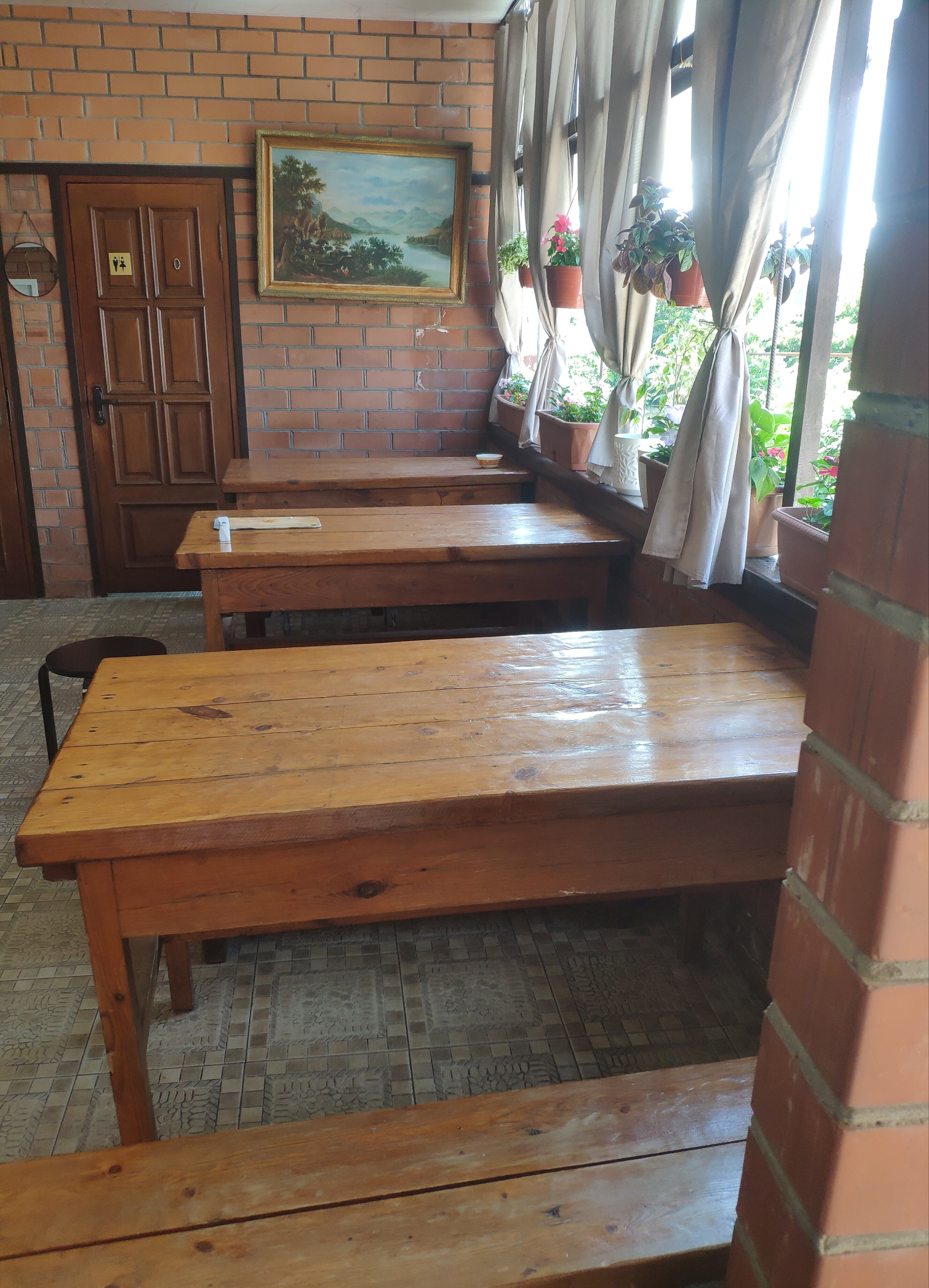 Фото Подсолнух