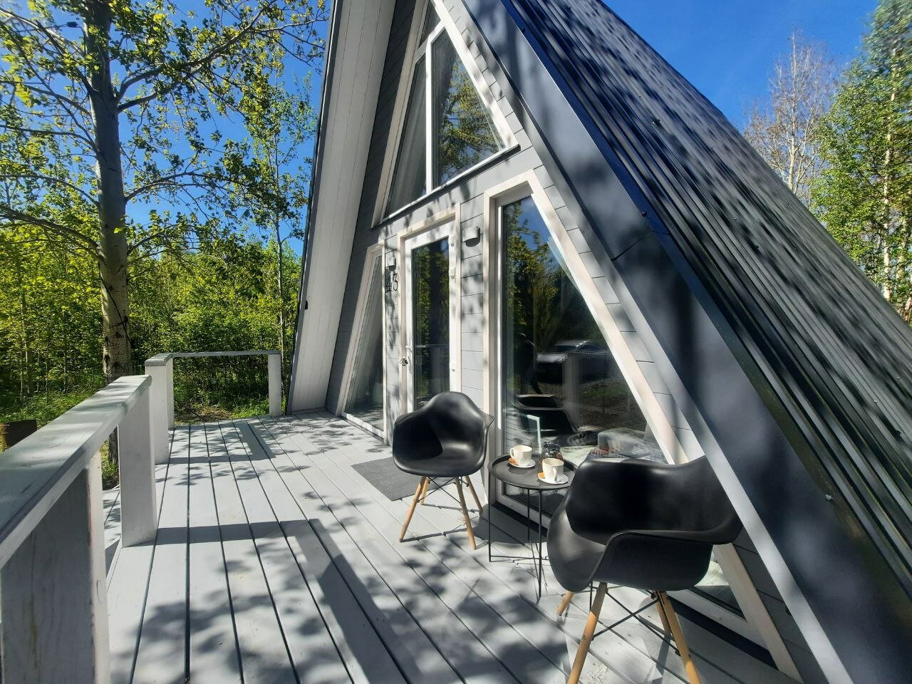 Фото Свобода леса