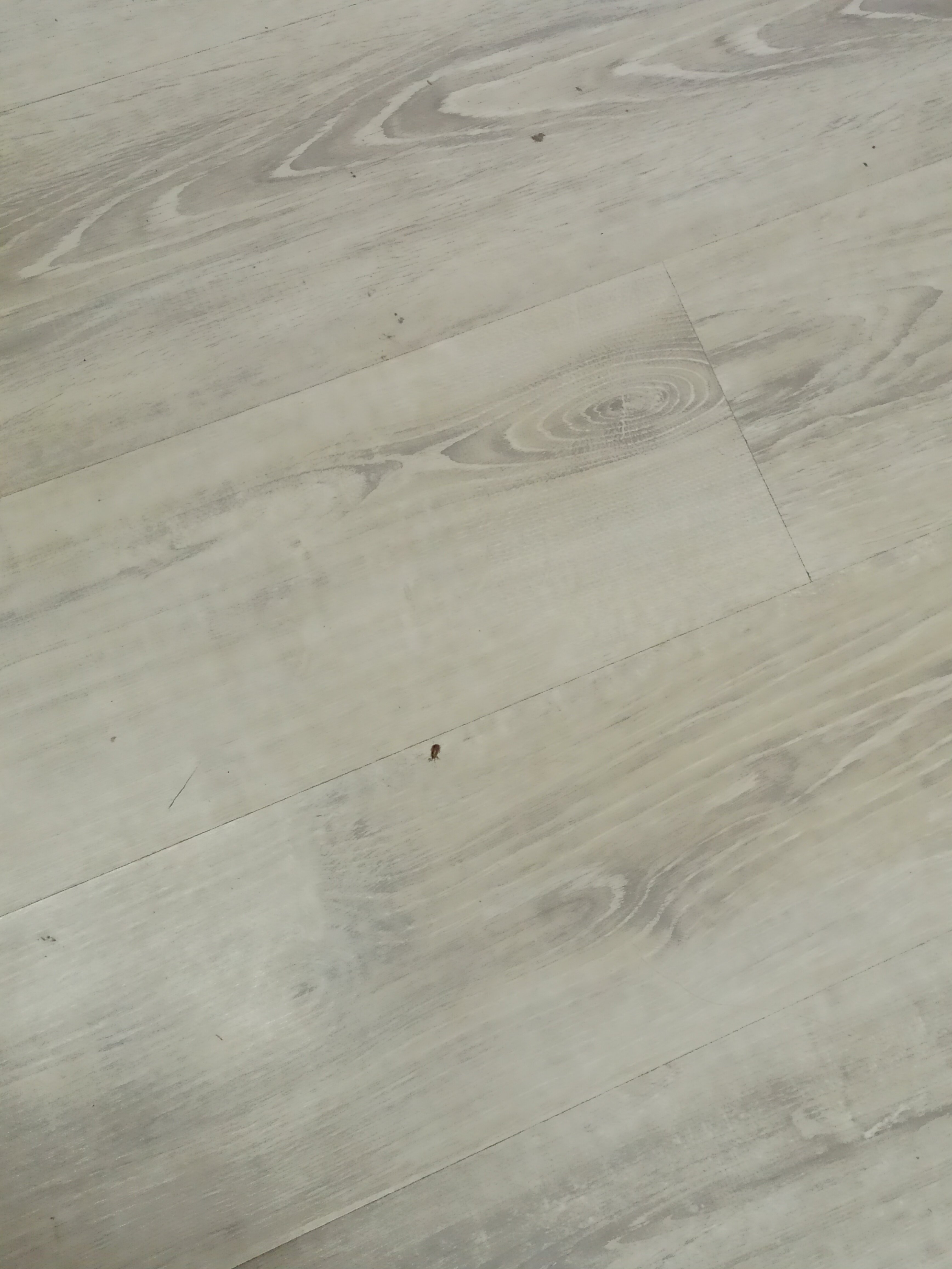 Фото Гвардейская