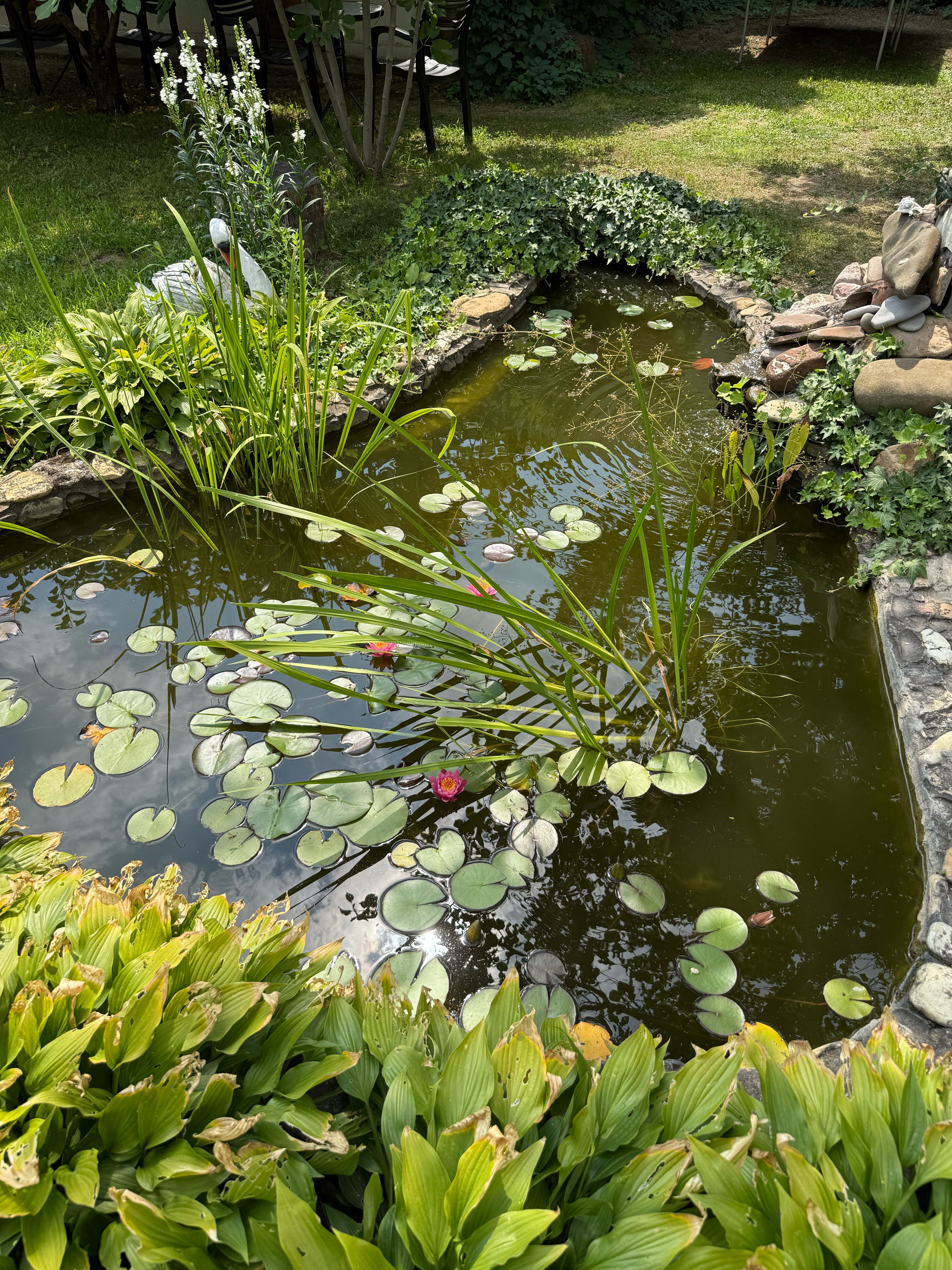 Фото Домики в саду