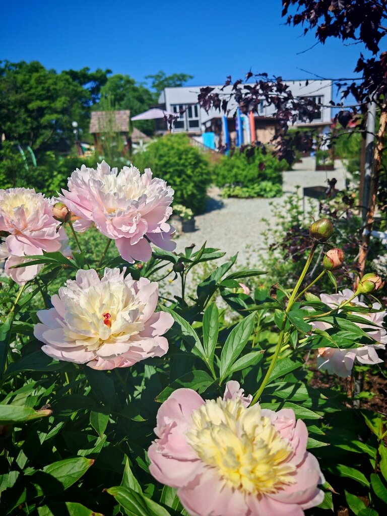 Resort Эдем, Primorsky Krai, photo