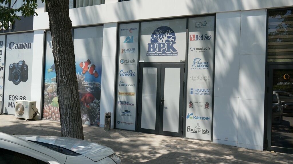 Aquariums Bpk, Tashkent, photo