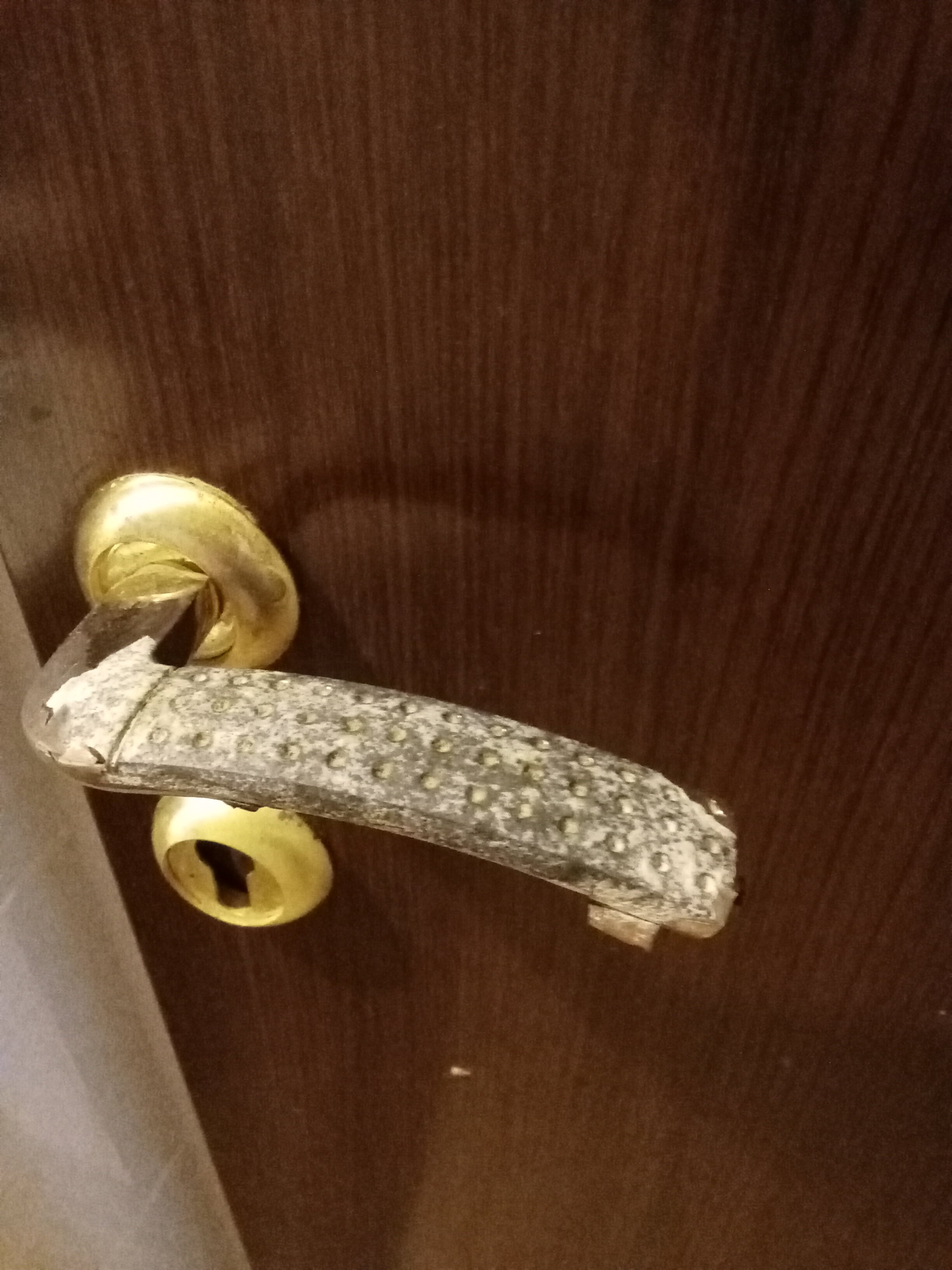 Фото Зурбаган