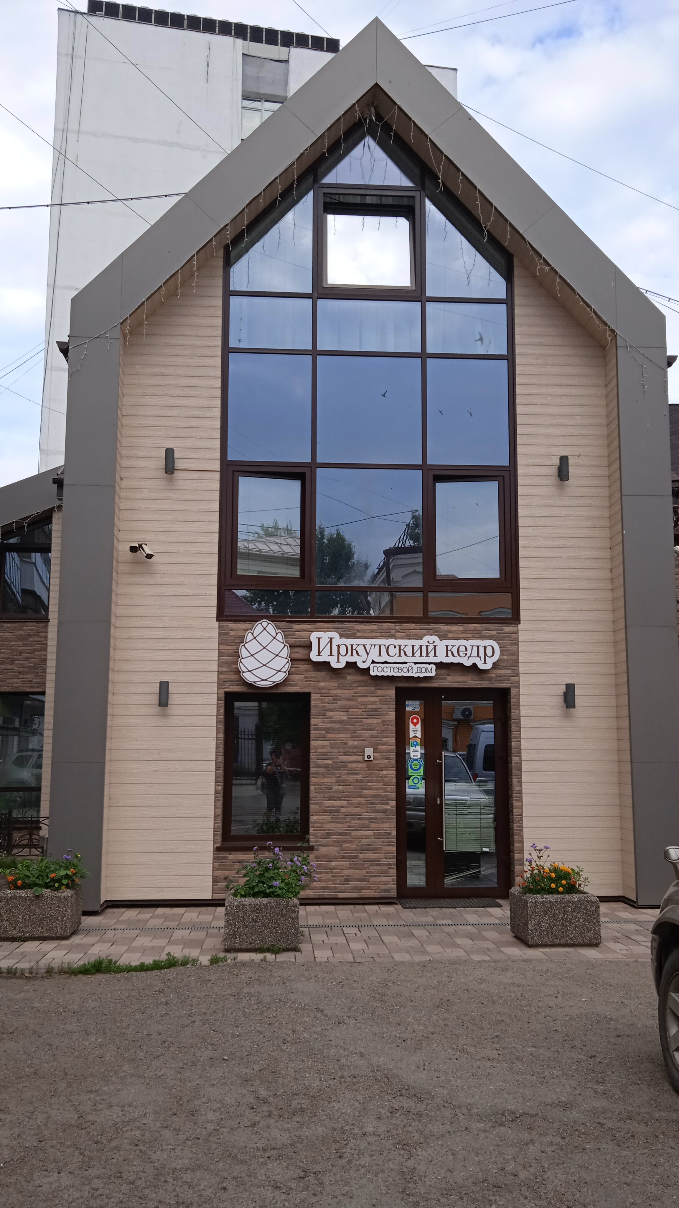 Фото Иркутский кедр