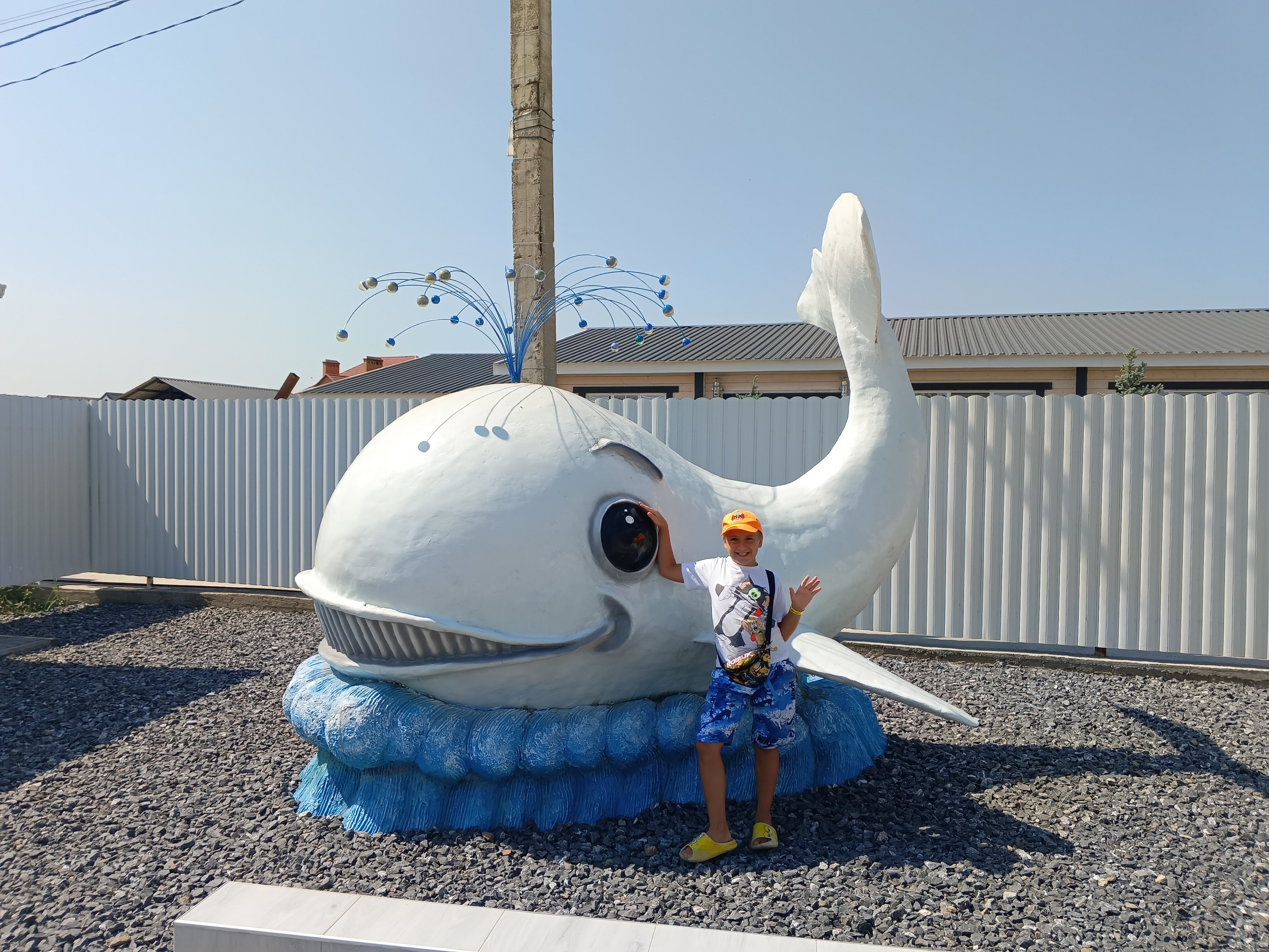 Фото Белый кит