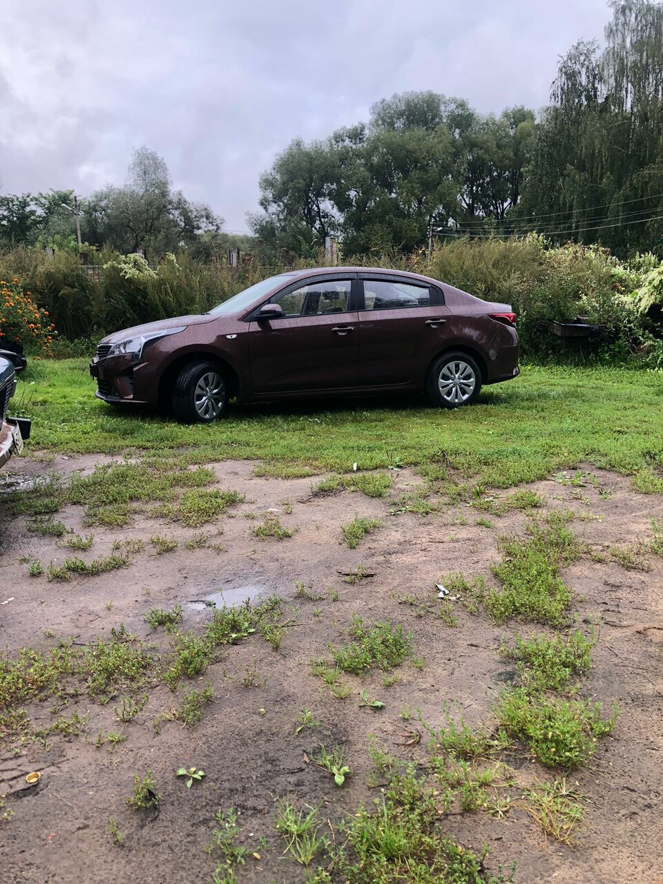 photo Автомир, Kia