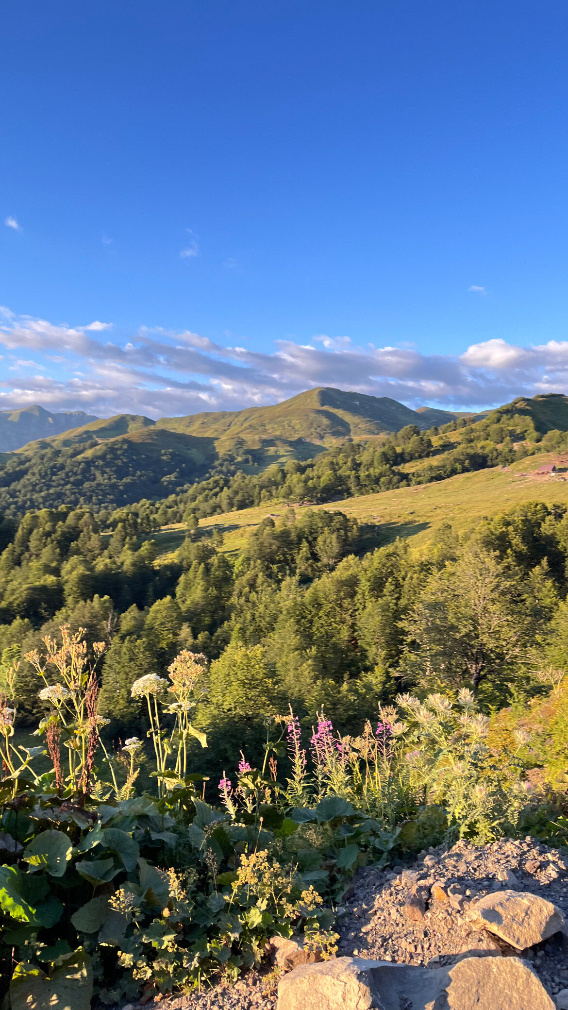 Фото Эко-отель Шолохов