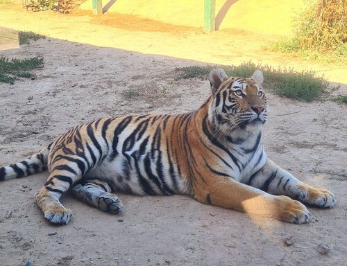 Zoo Baba Frosya Zoo, Astrakhan Oblast, photo