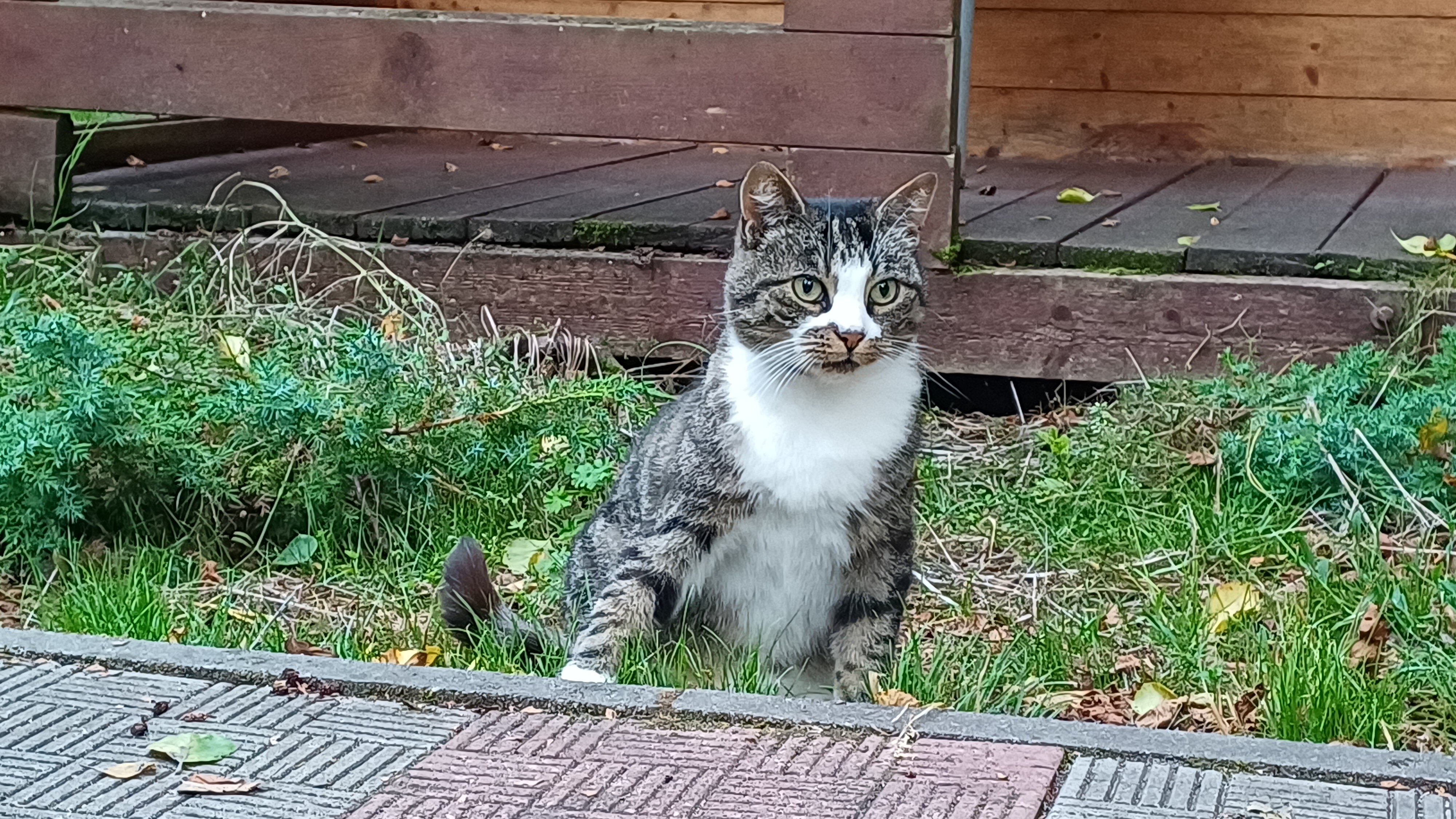 Фото ВитТех