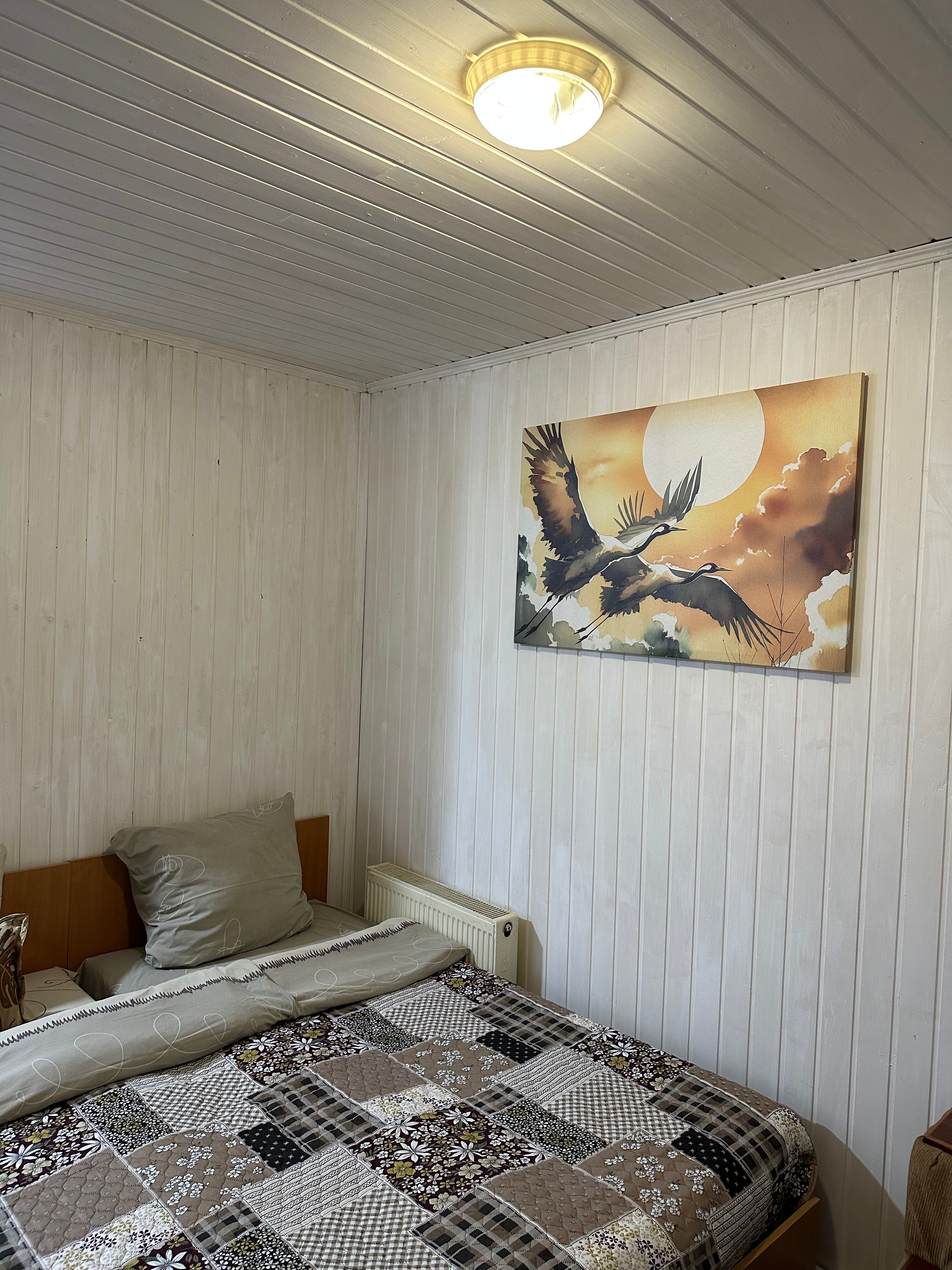 Фото Домики в Деулино