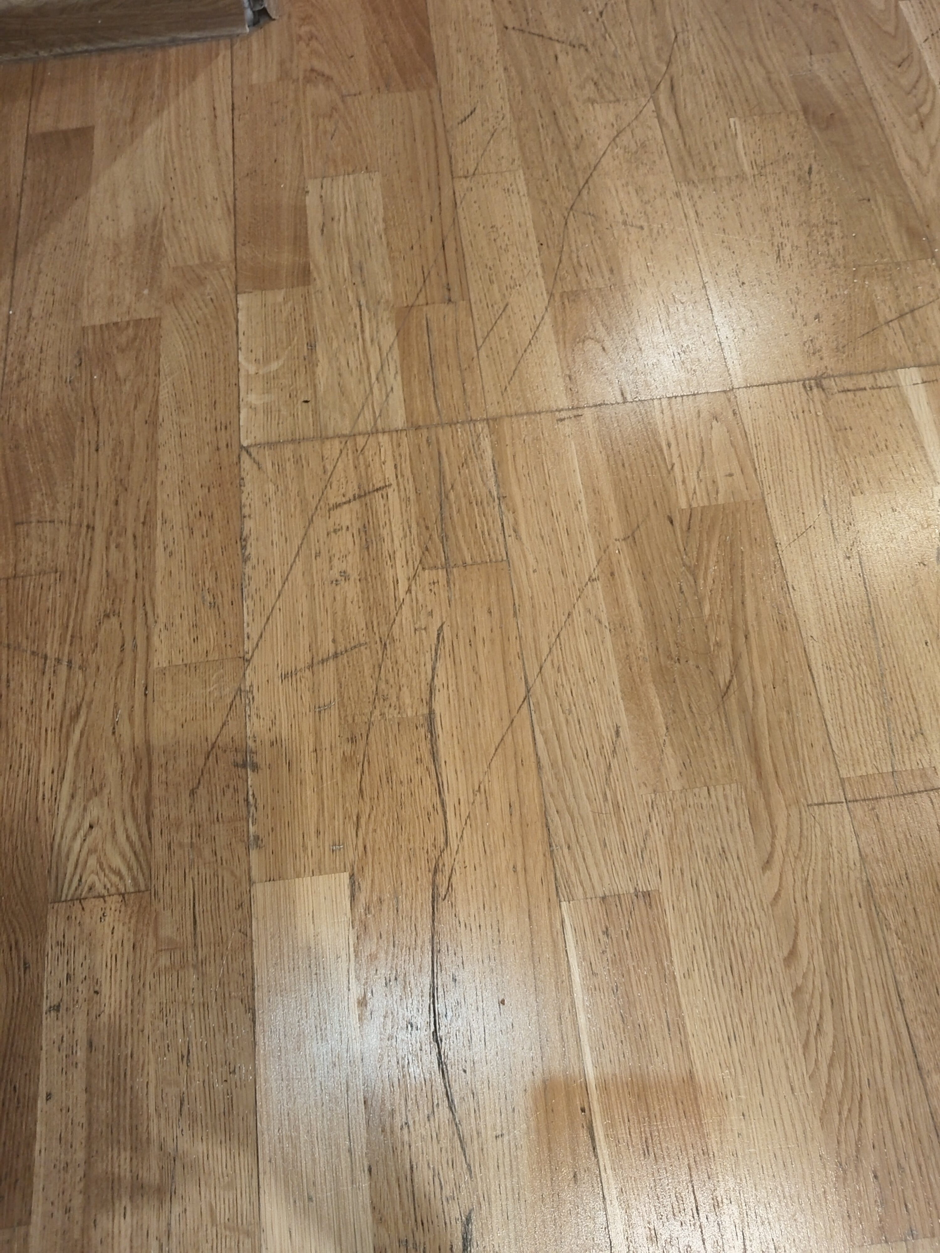 Фото Дальнобойщик