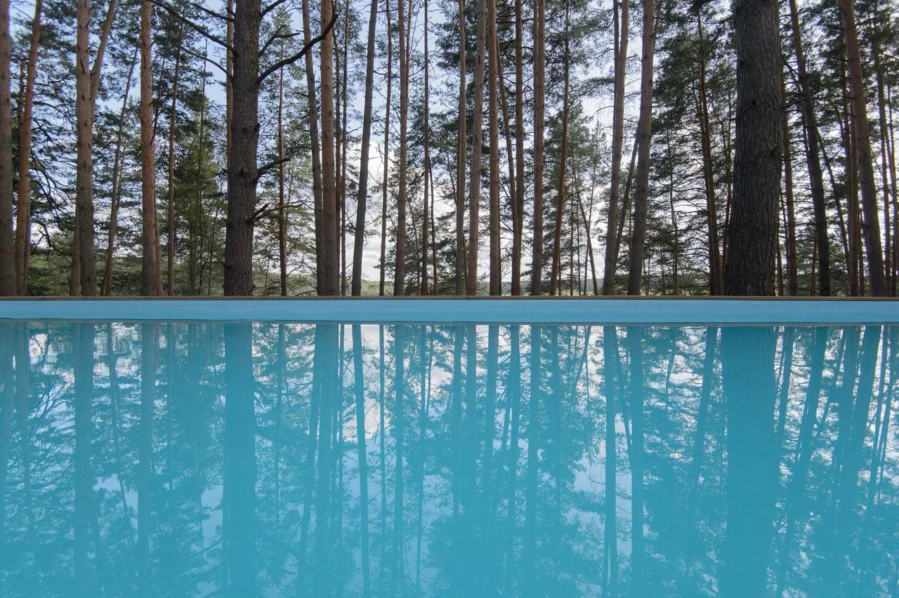 Фото Wish Home Лесной Берег