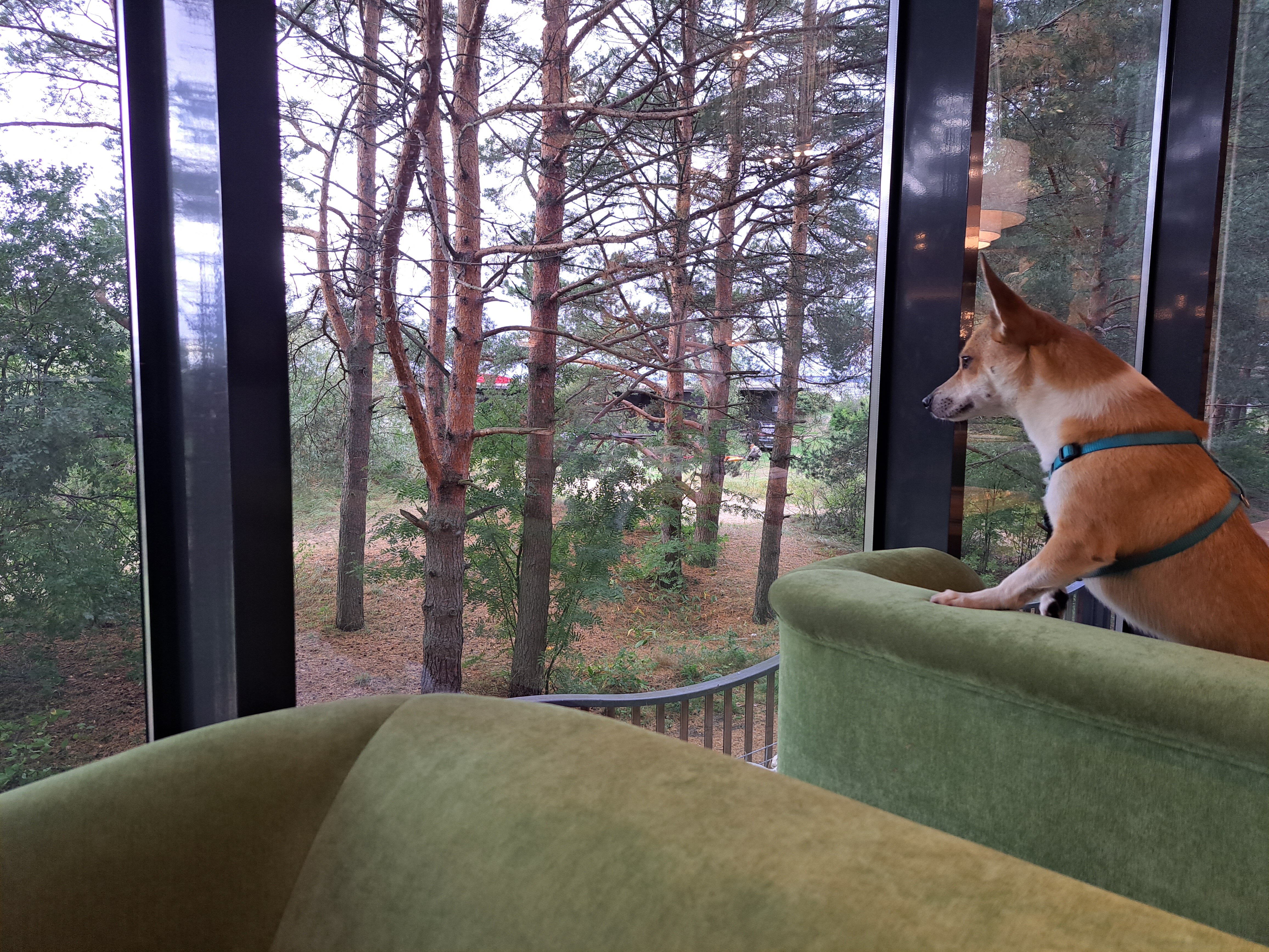 Фото Апартаменты Dafna & Josefina