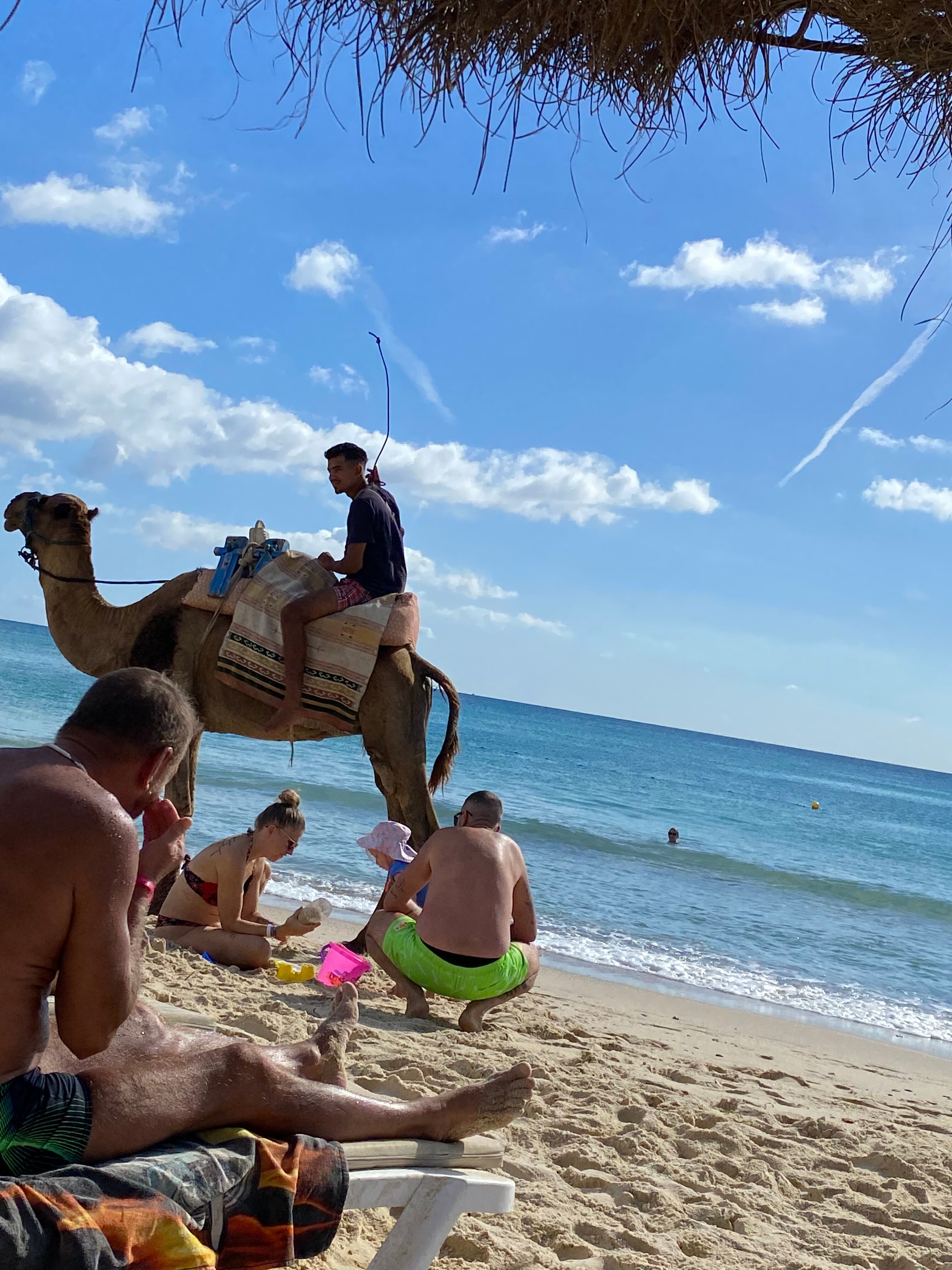 Фото Zodiac Hotel