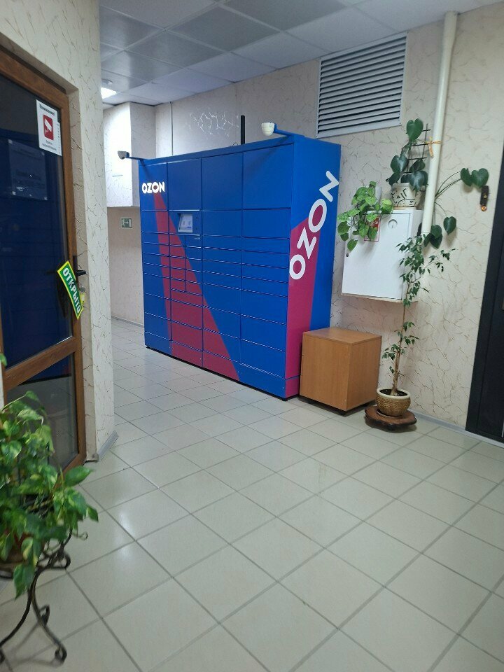 Parcel automat Ozon Box, Korolev, photo