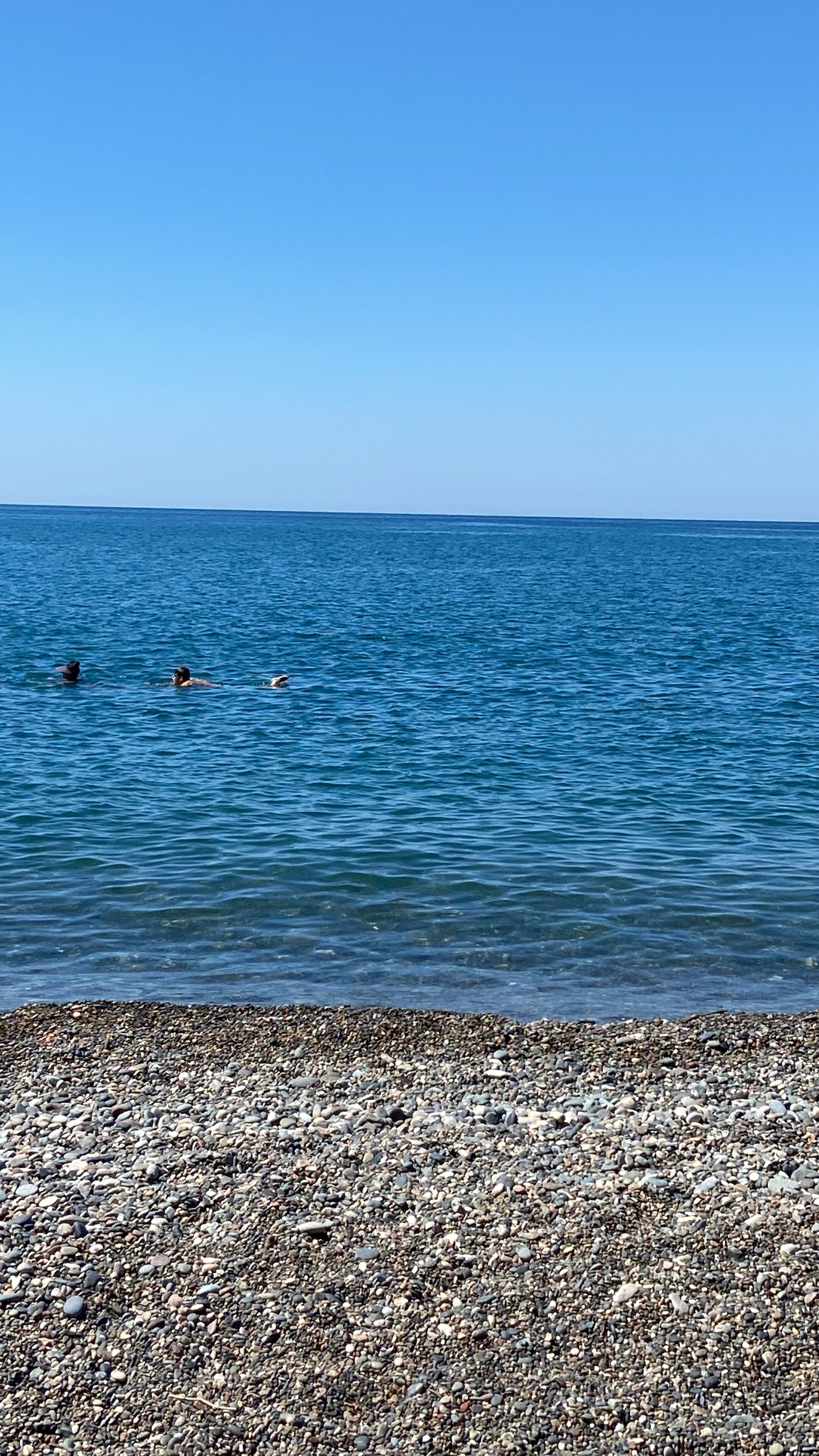 Фото 209409535709