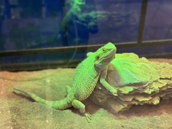 Фото Tianjin Polar Ocean Hotel