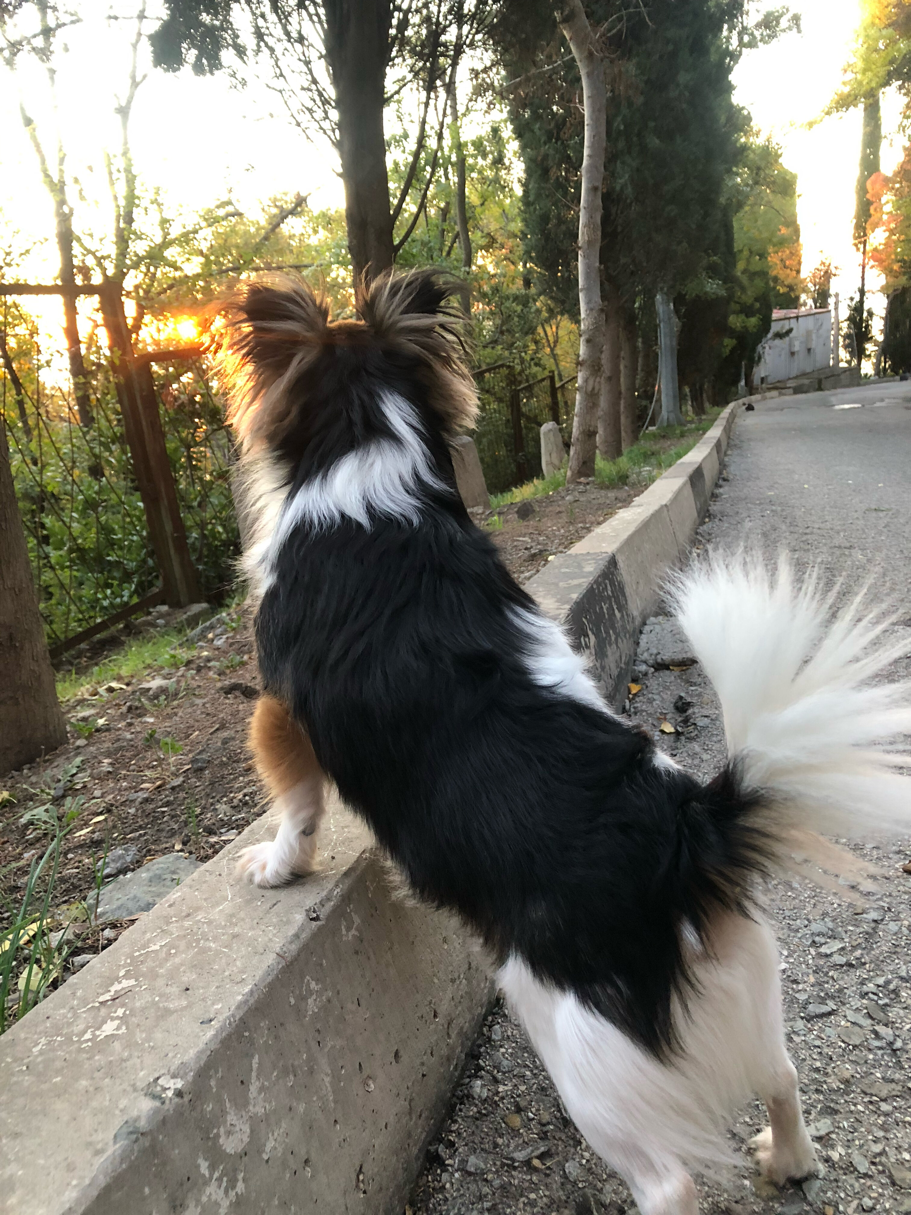 Фото Гостевой дом Ласточкин