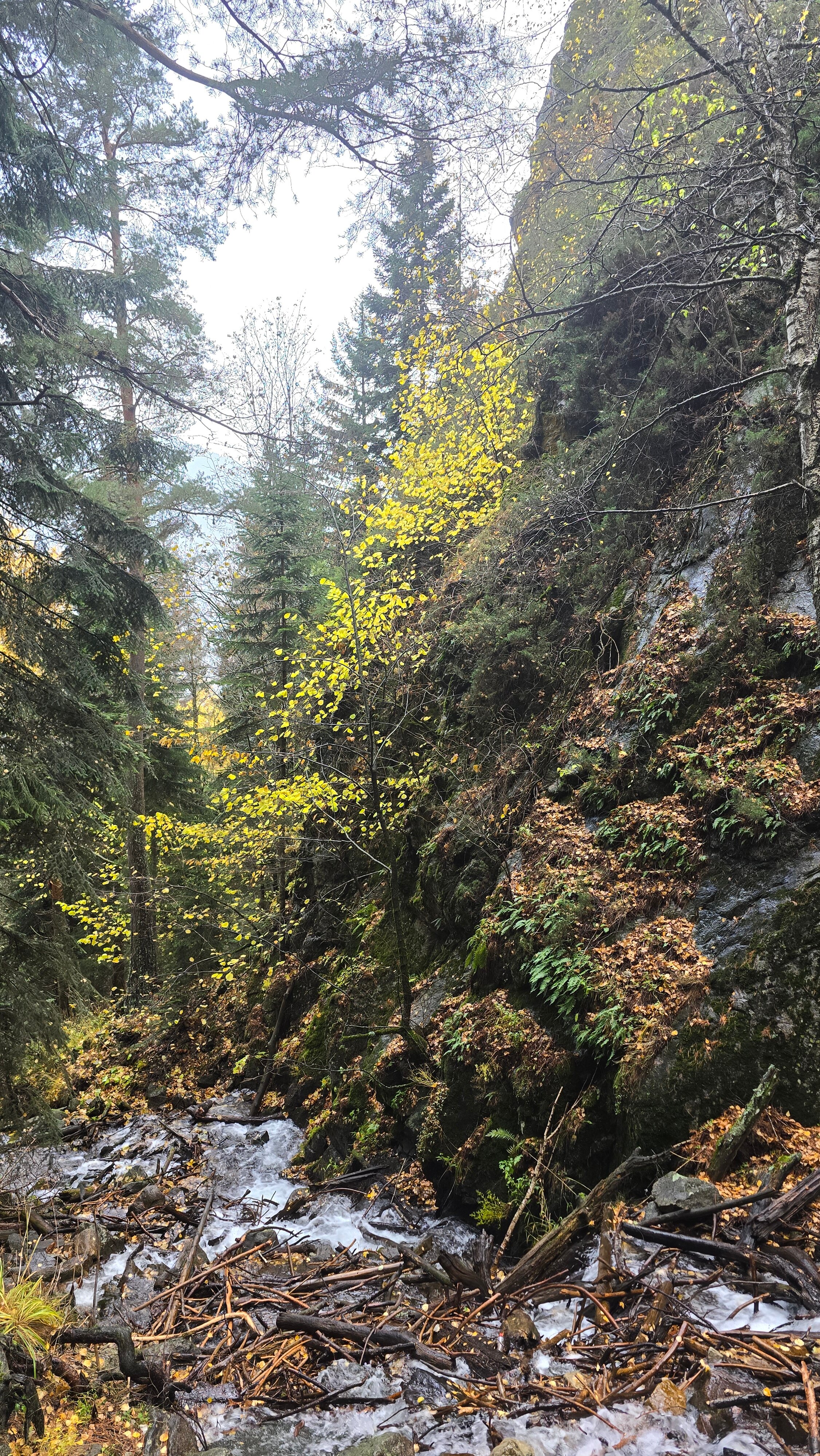 Фото Bulat House