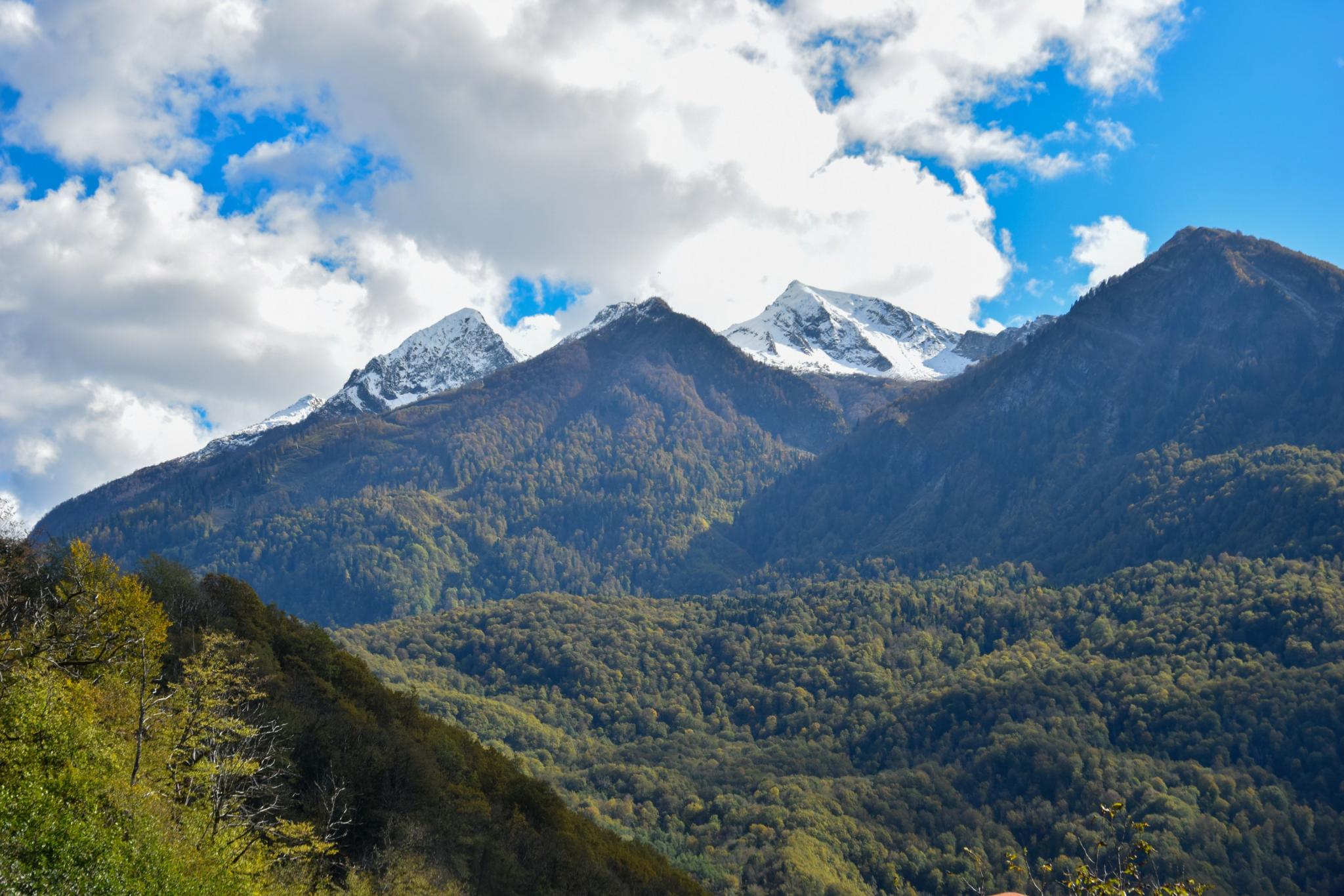 Фото Арт Ковчег