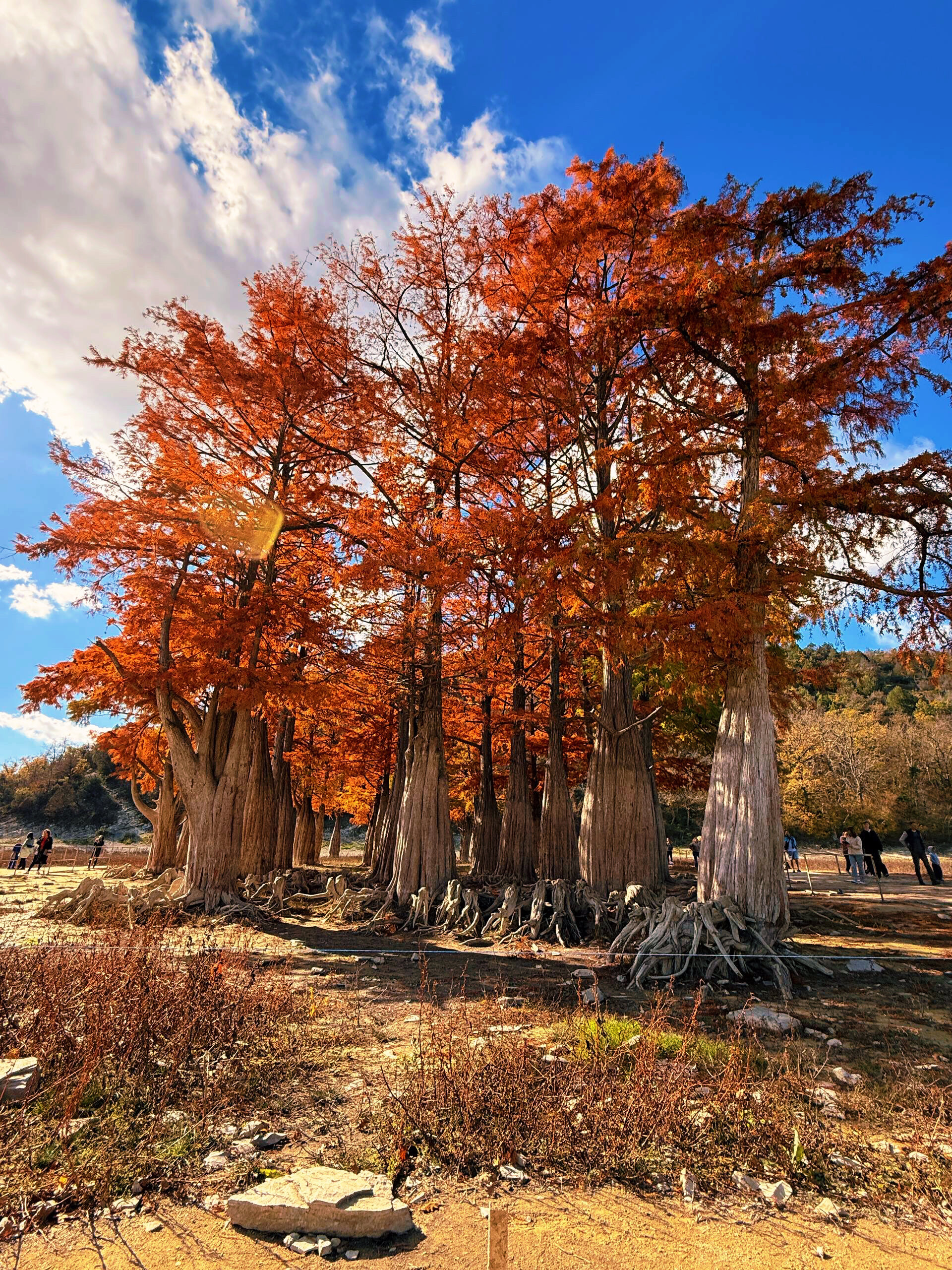 Фото Море и солнце