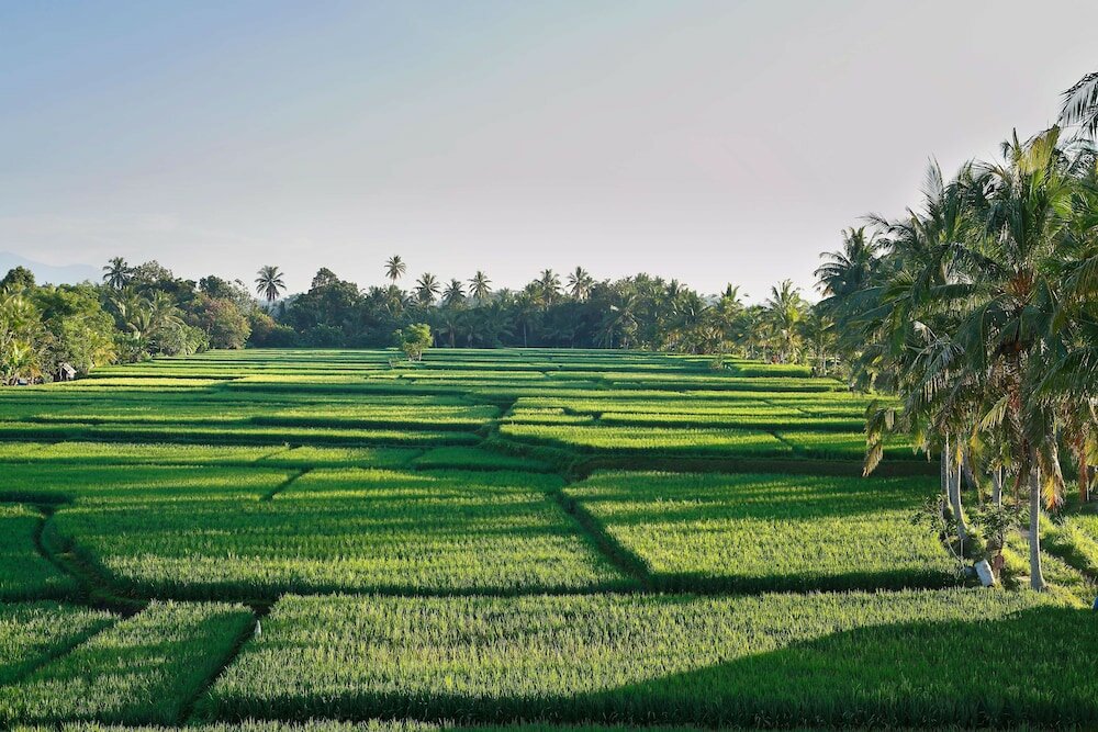 Фото Luxe Villas Bali
