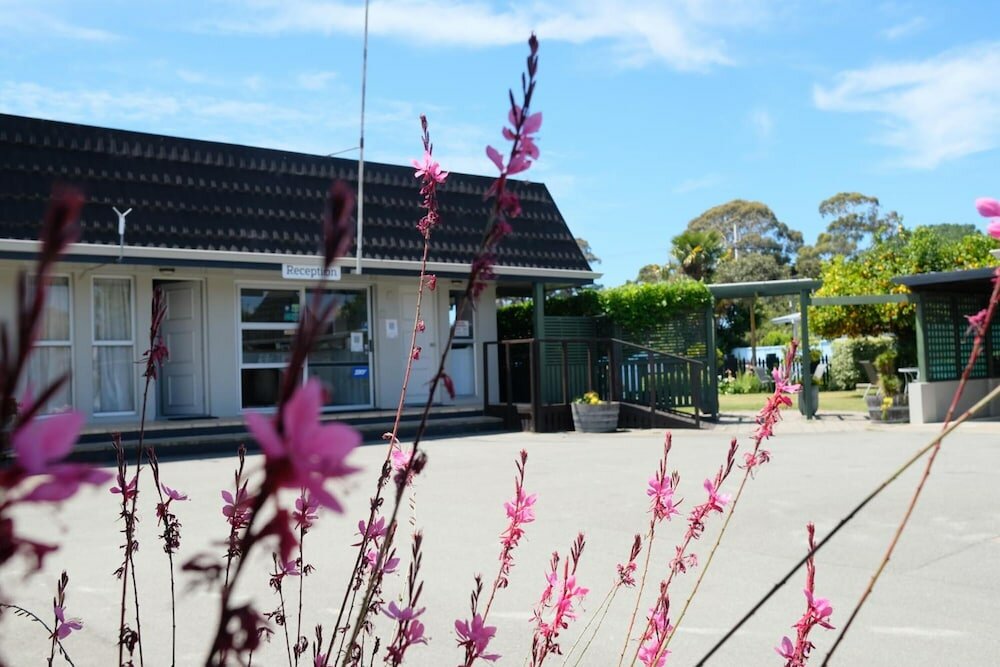 Фото Montana Lodge Motel