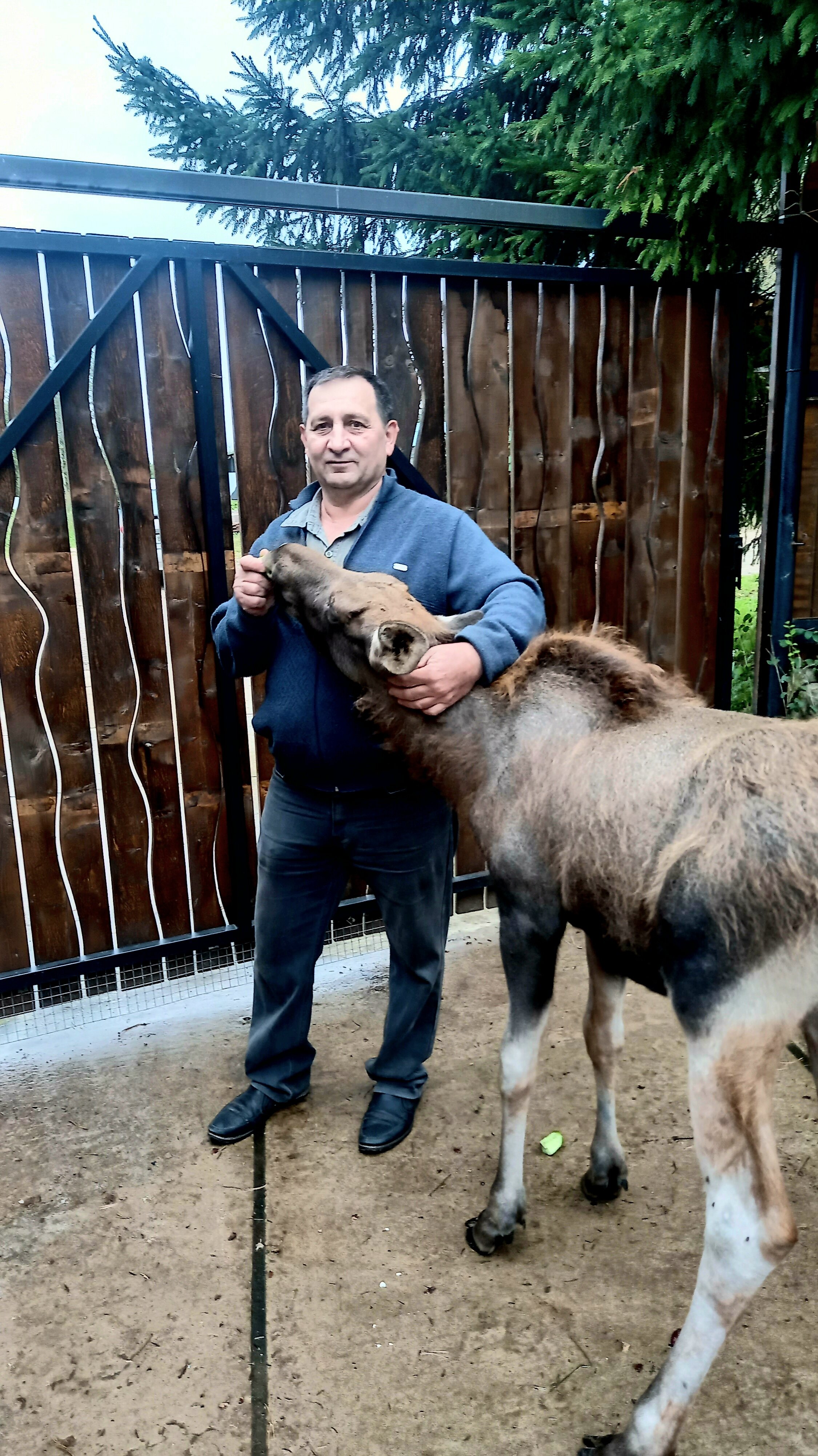 Фото Дом у сосен