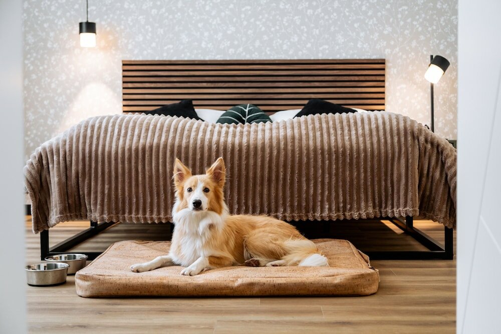 Фото Hotel Praterstern