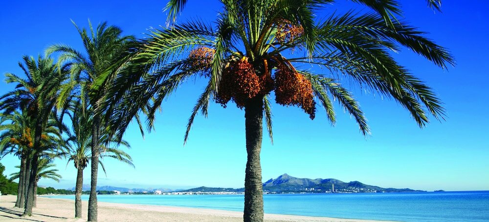 Фото Puerto Azul Suite Hotel