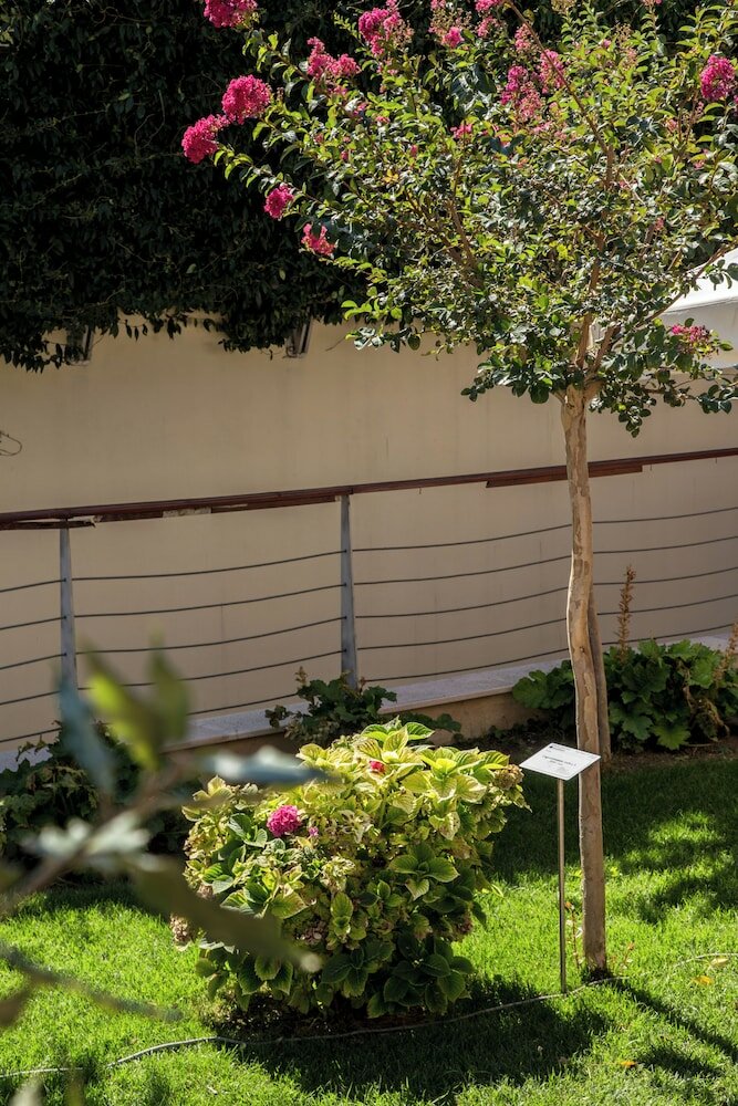 Фото Hotel Gran Paradiso