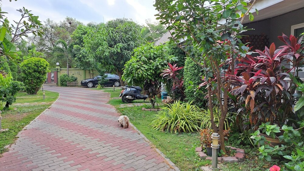 Фото Baan Penny