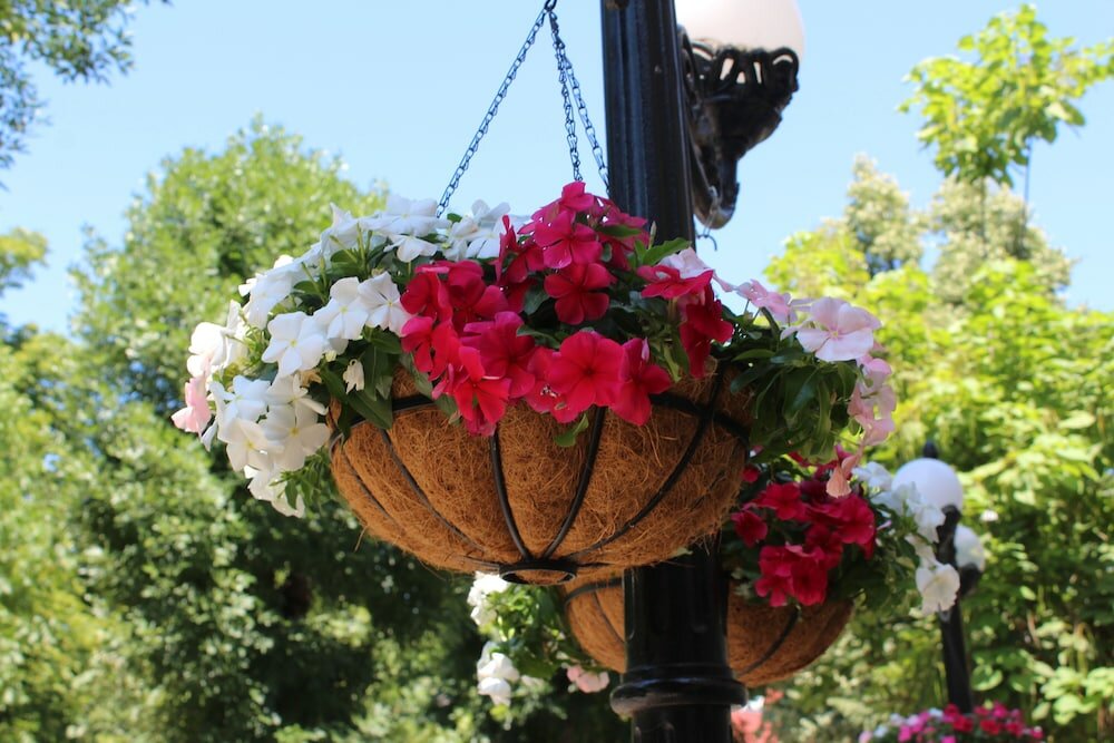 Фото Alegro Hotel