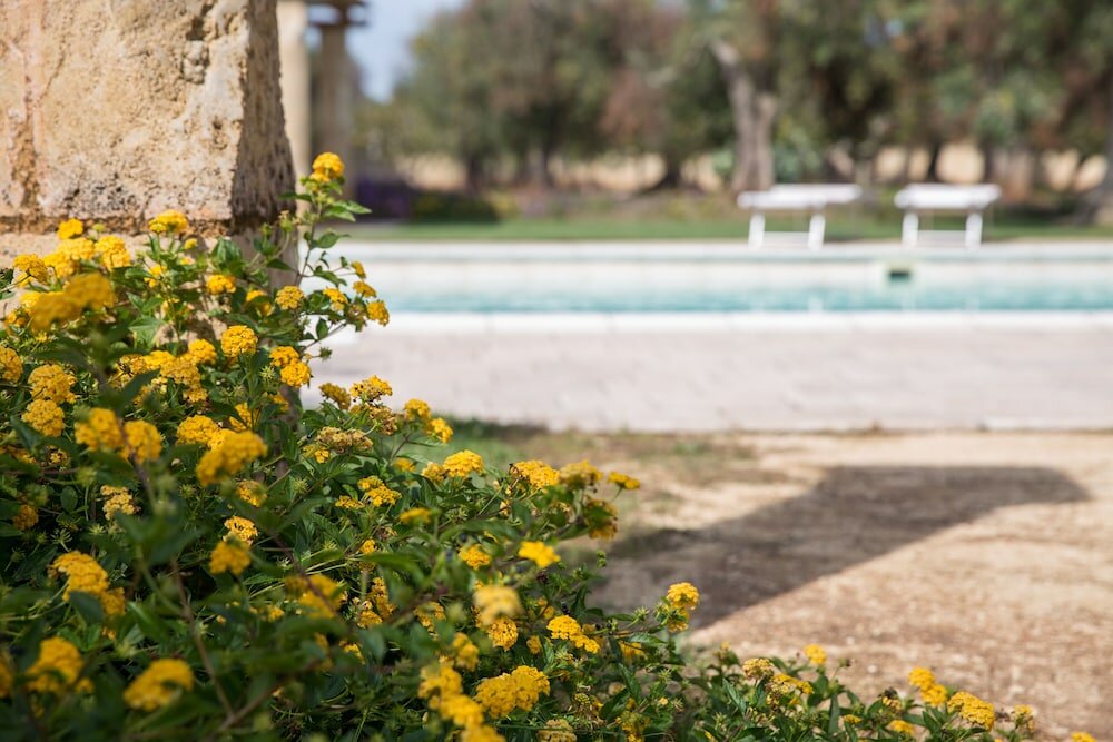 Фото Masseria Saietti